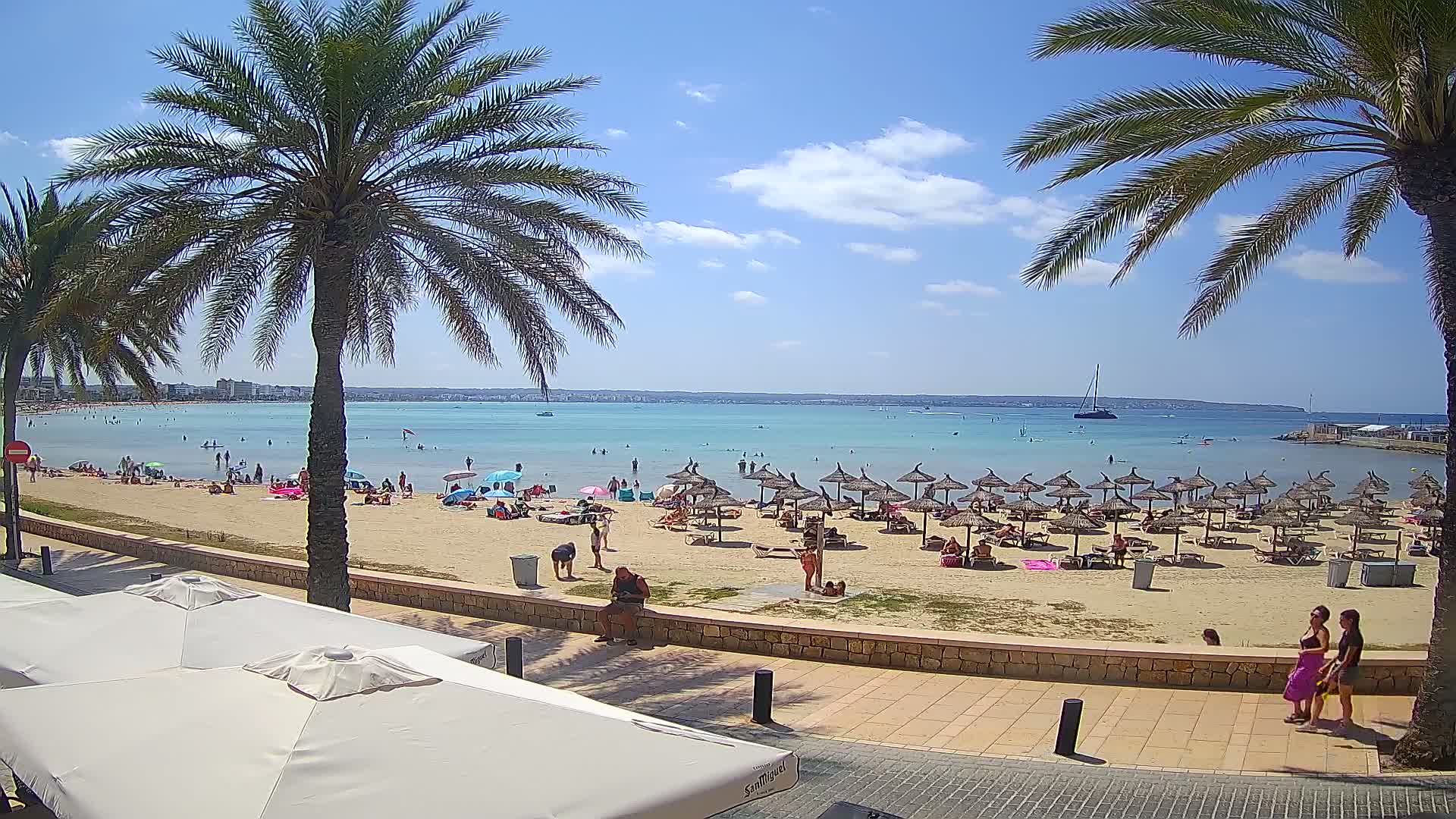 A sunny beach scene shows a sandy shore with numerous beach umbrellas and bathers, calm turquoise water, and palm trees in the foreground under a mostly clear blue sky.