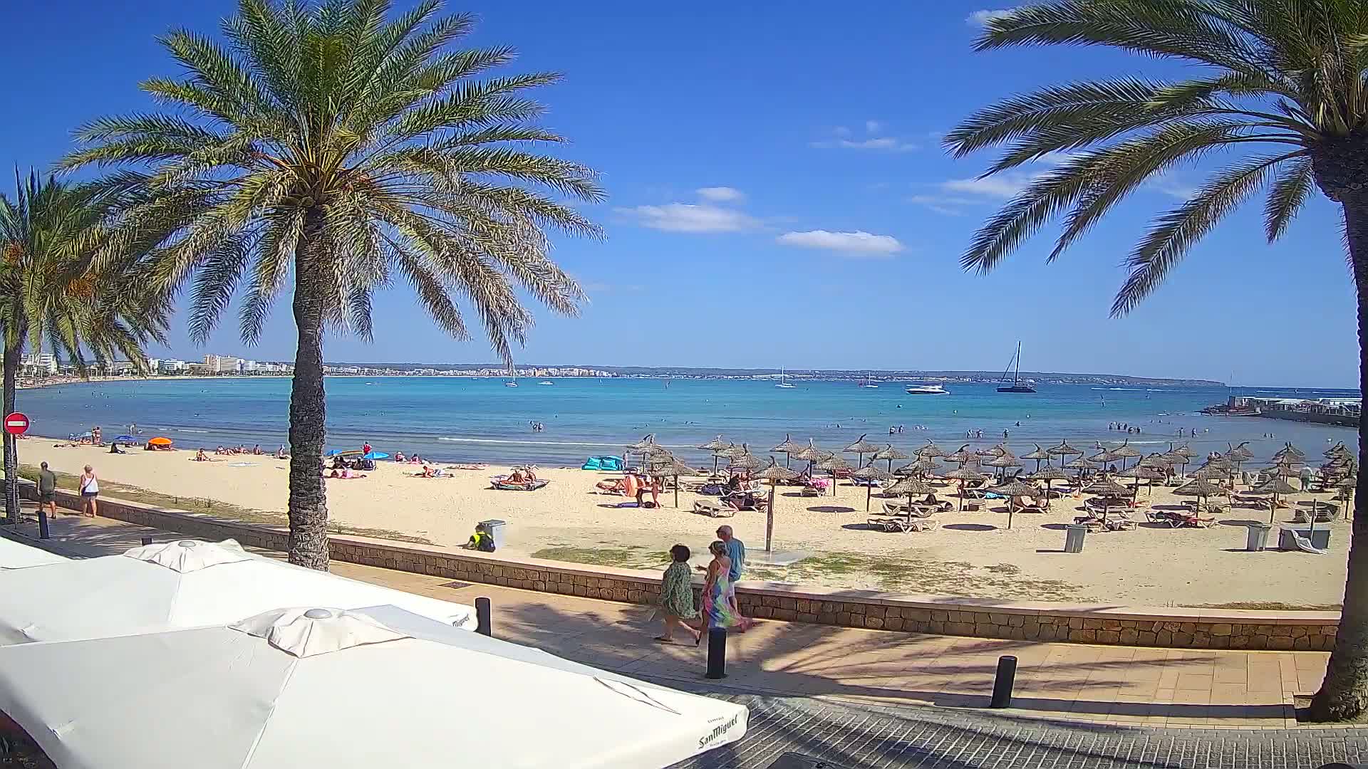 A sunny beach scene with palm trees, beach umbrellas, and people swimming and relaxing on the sand, overlooking a calm, turquoise ocean.