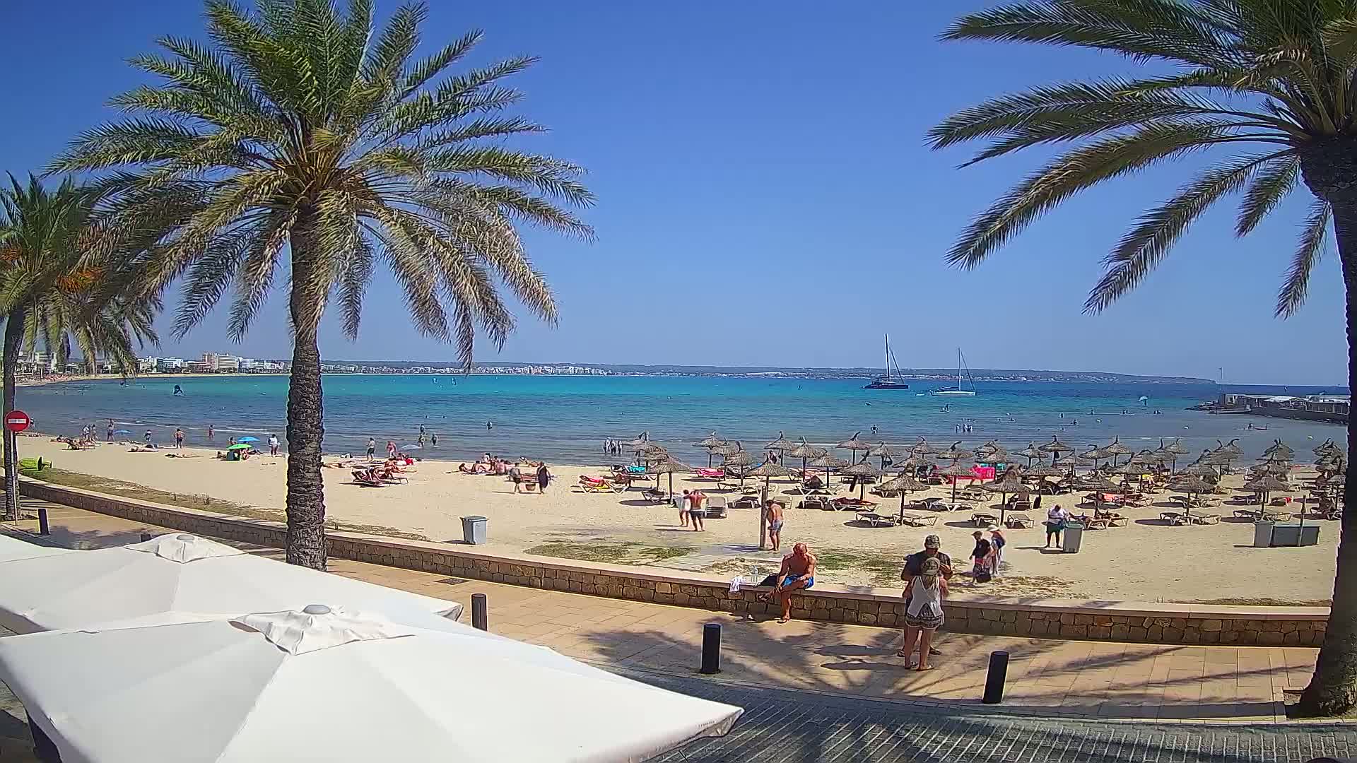 A sandy beach with numerous beach umbrellas and bathers is shown under a clear blue sky, with palm trees lining a paved walkway in the foreground and a calm turquoise sea extending to a distant coastline.