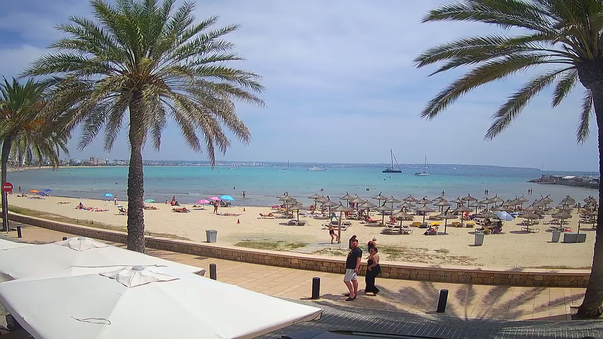 A sunny beach scene shows a sandy shore lined with straw umbrellas and sunbathers, palm trees, a calm turquoise ocean with boats, and a paved walkway with a couple walking near white patio umbrellas.