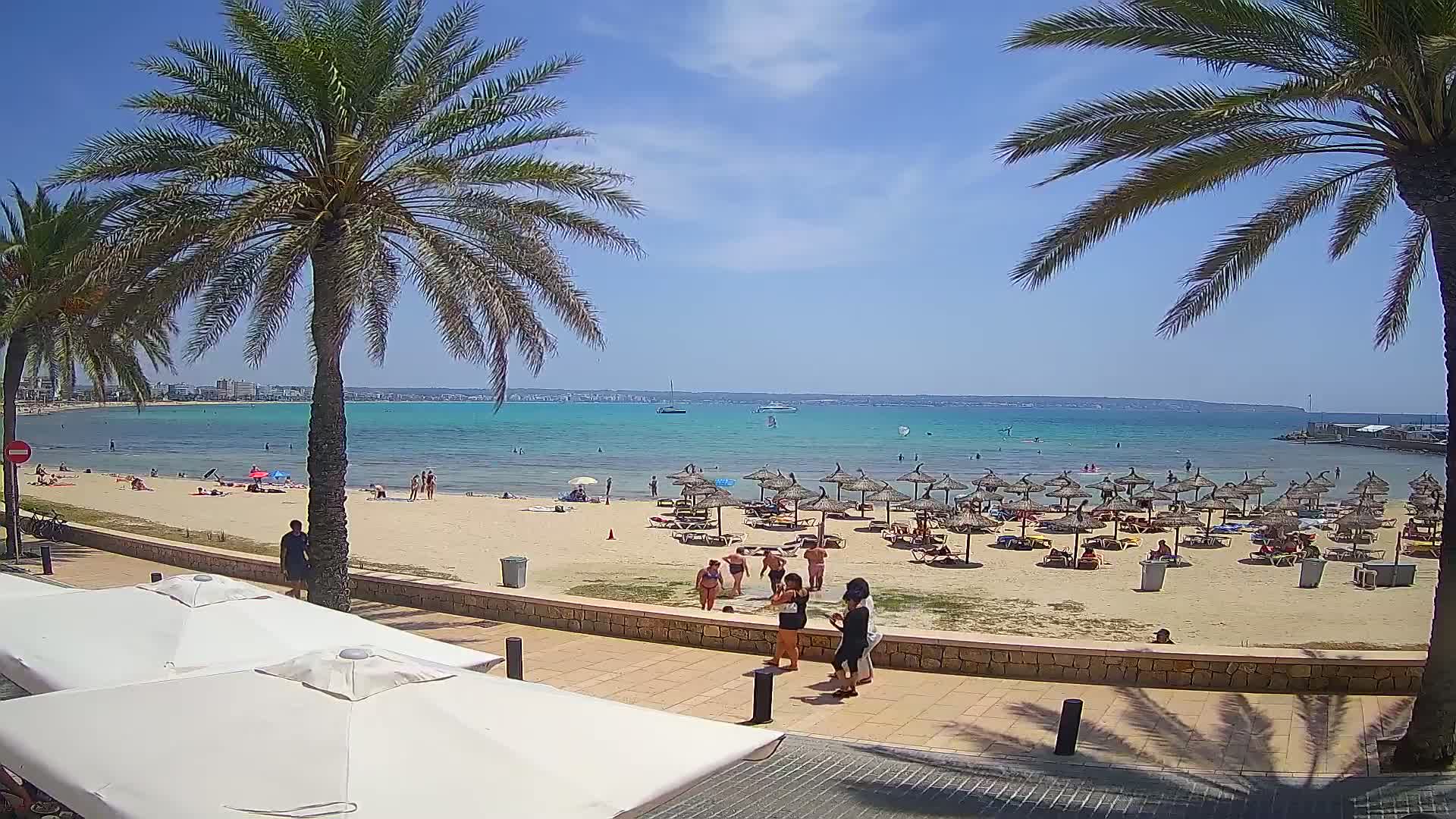 A sunny beach scene with palm trees, numerous beach umbrellas, and people enjoying the sand and shallow turquoise water.
