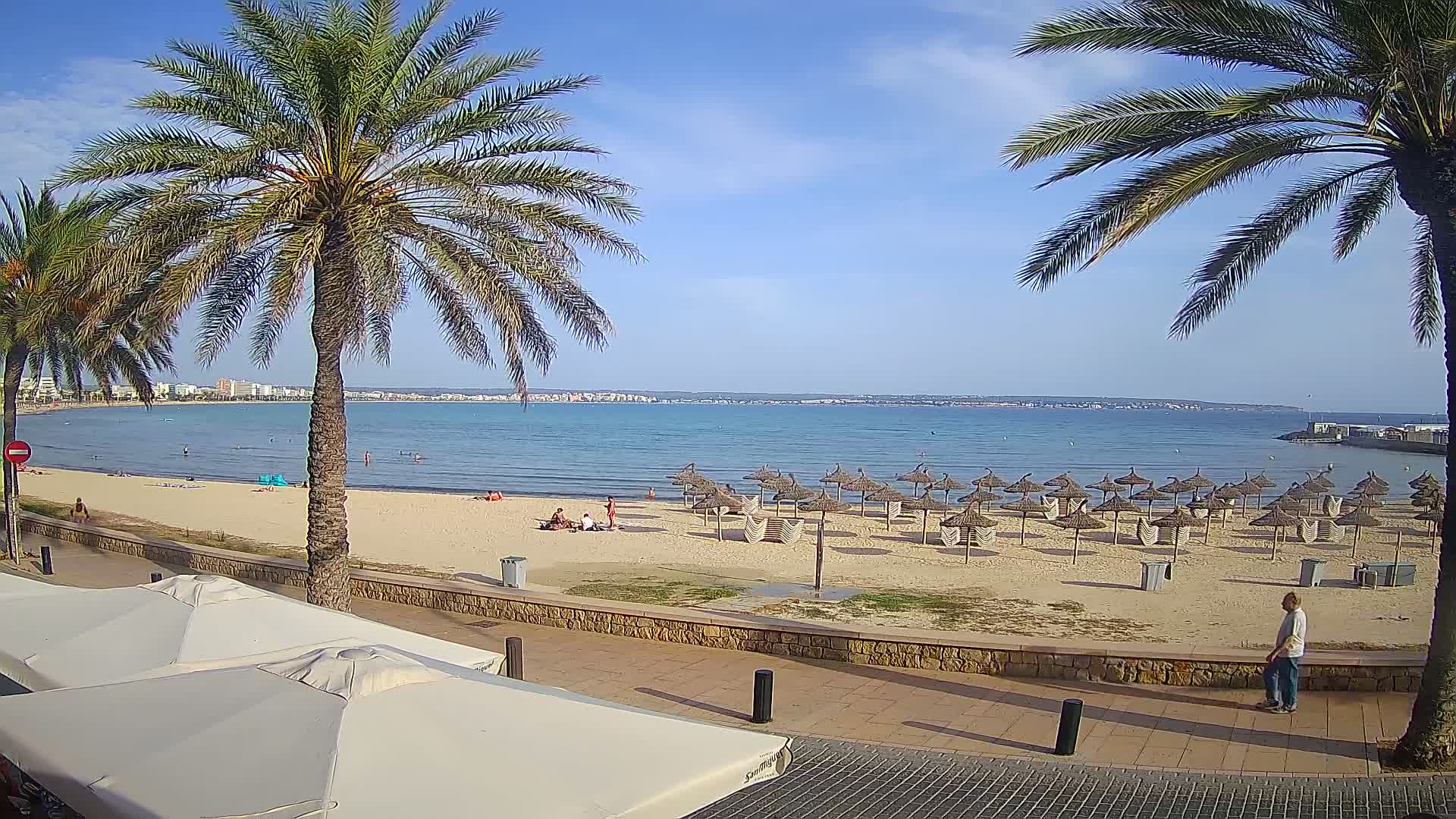 A sandy beach with numerous thatched umbrellas under a clear blue sky, palm trees lining the boardwalk, and calm ocean water extending to a distant shoreline.
