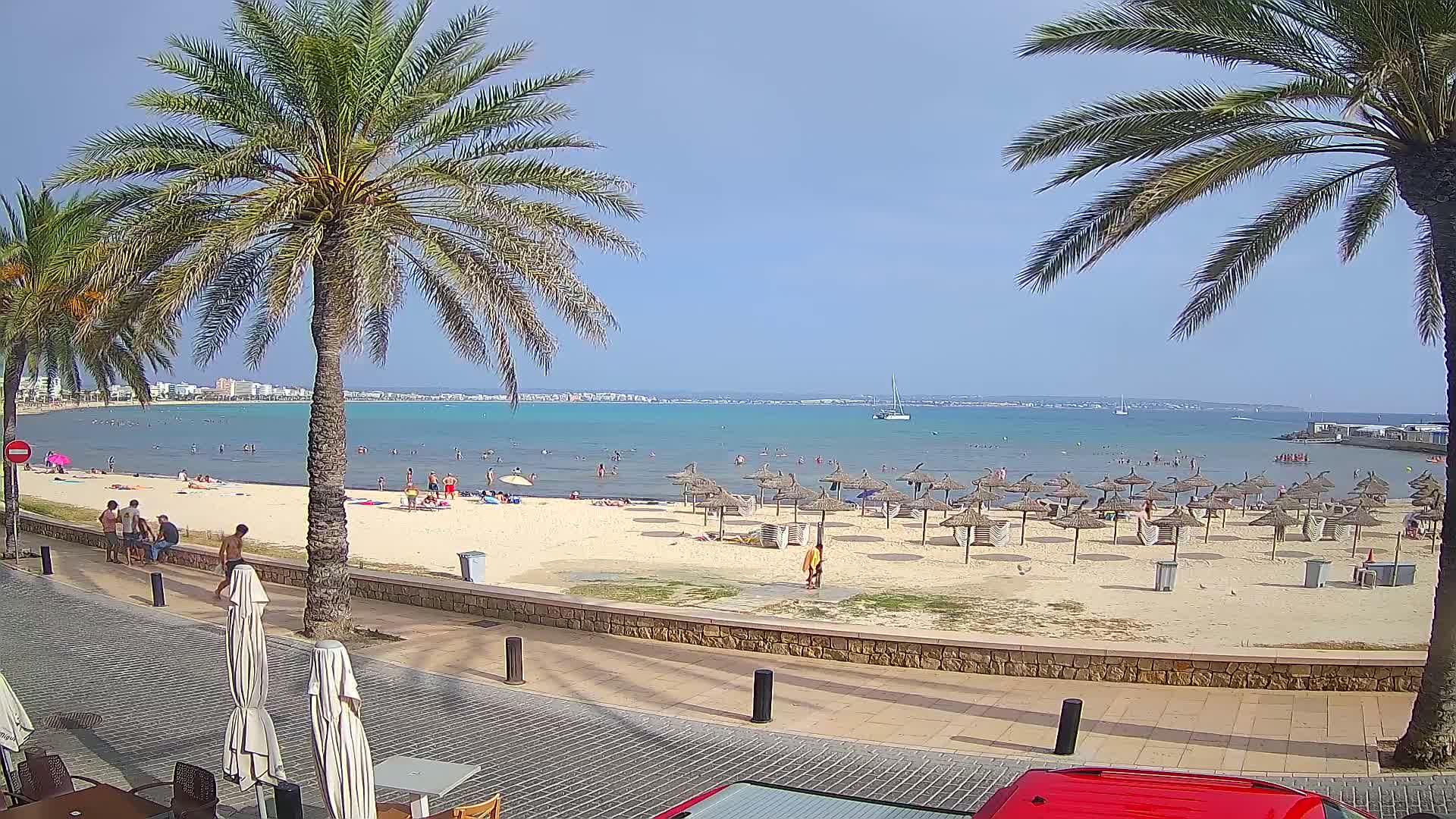 A sunny day at a beach shows a sandy shore with numerous straw umbrellas, people swimming and sunbathing, and palm trees lining a paved walkway.