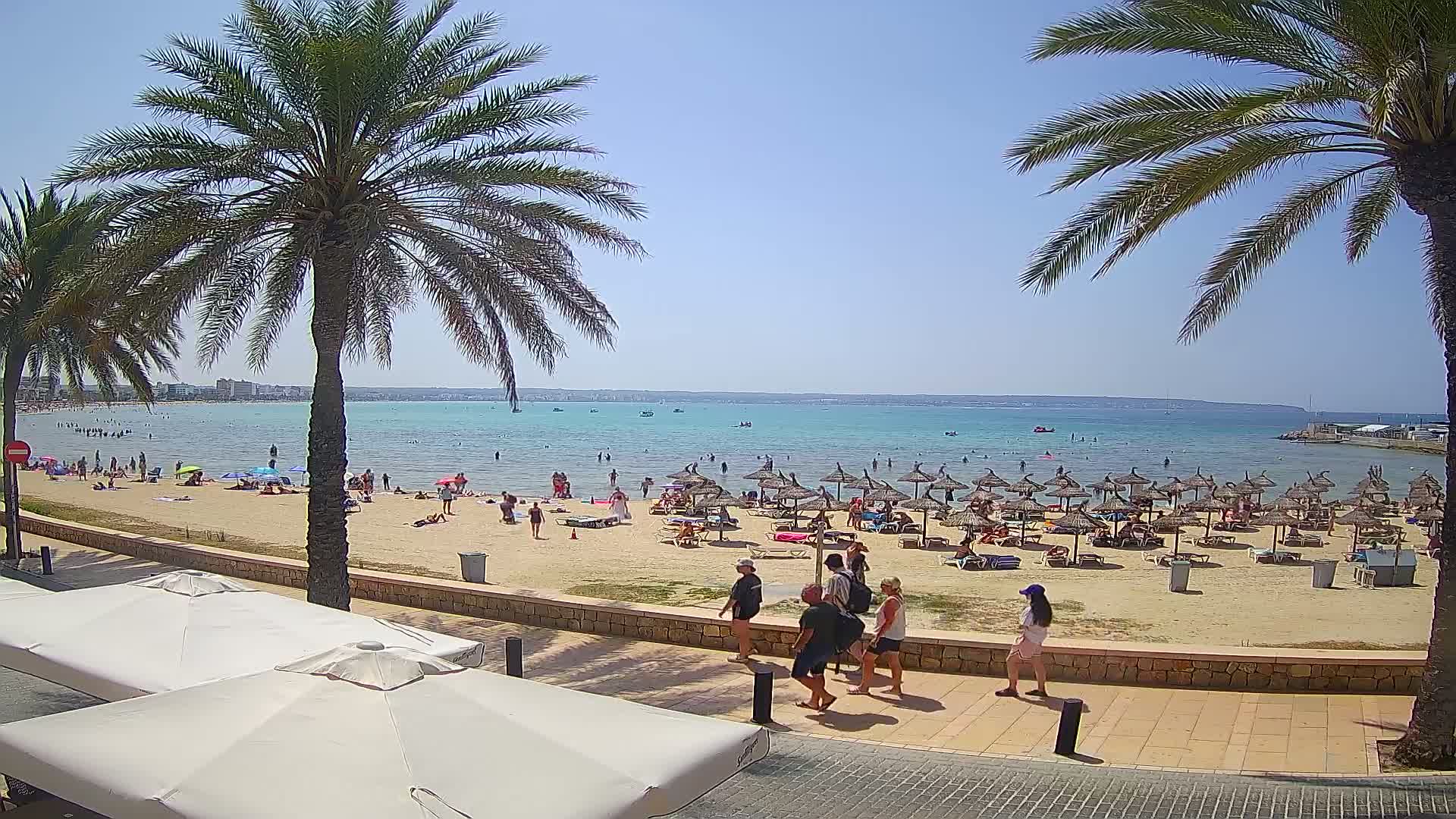 A sunny beach scene shows a sandy shore with numerous beach umbrellas, bathers in the water and on the sand, and palm trees lining a paved walkway.