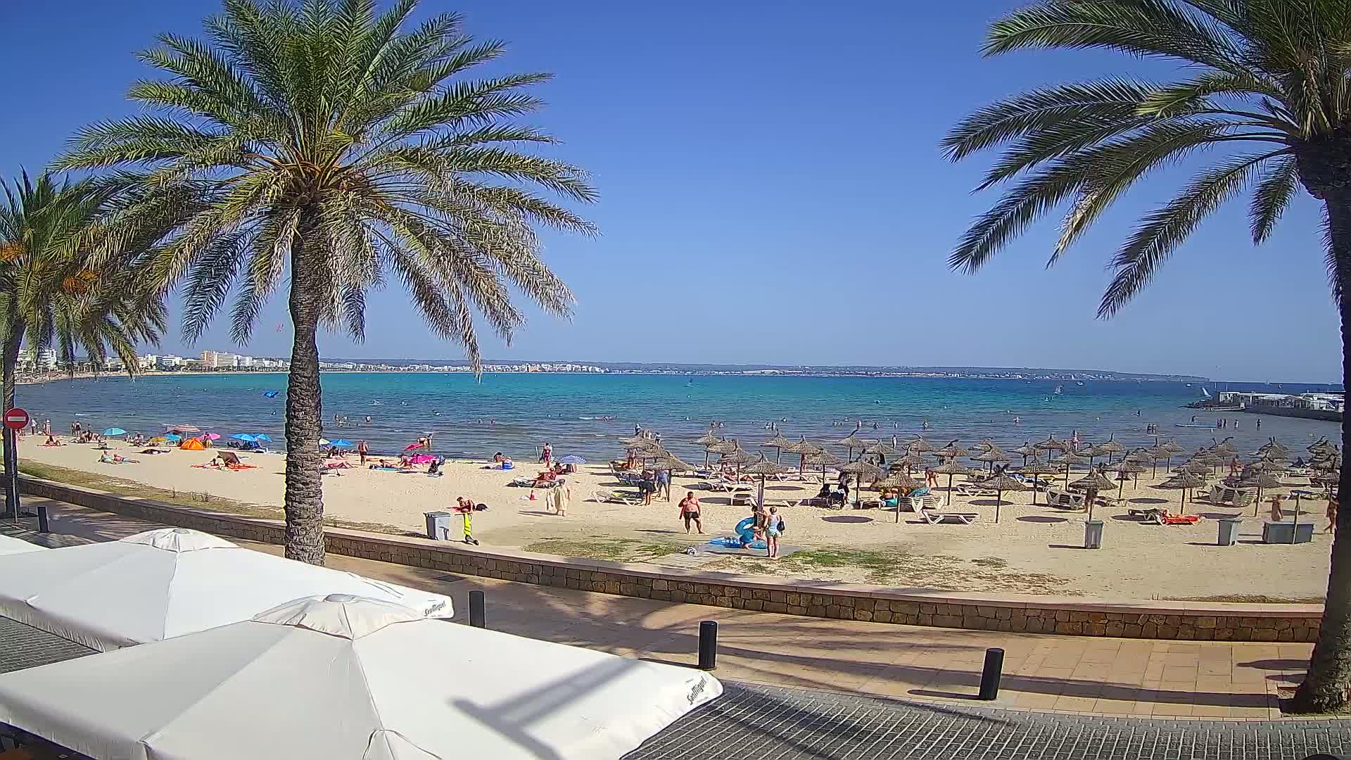 A sunny beach scene shows calm, turquoise water, many people enjoying the sand and shallows under numerous straw umbrellas, and palm trees lining a paved walkway.