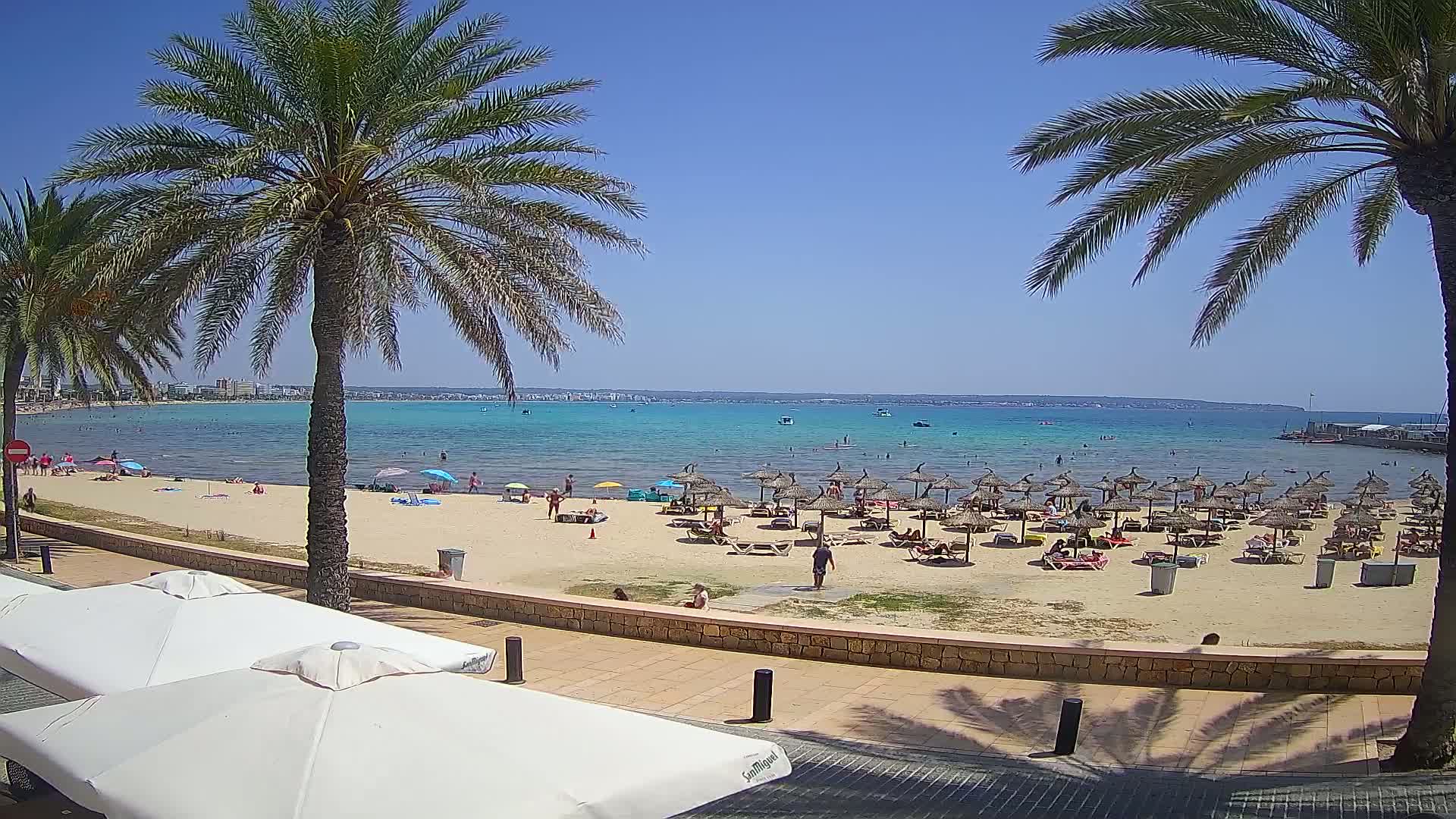 A sunny beach scene shows a sandy shore with numerous straw umbrellas and lounge chairs, a calm turquoise sea, and palm trees framing the view.