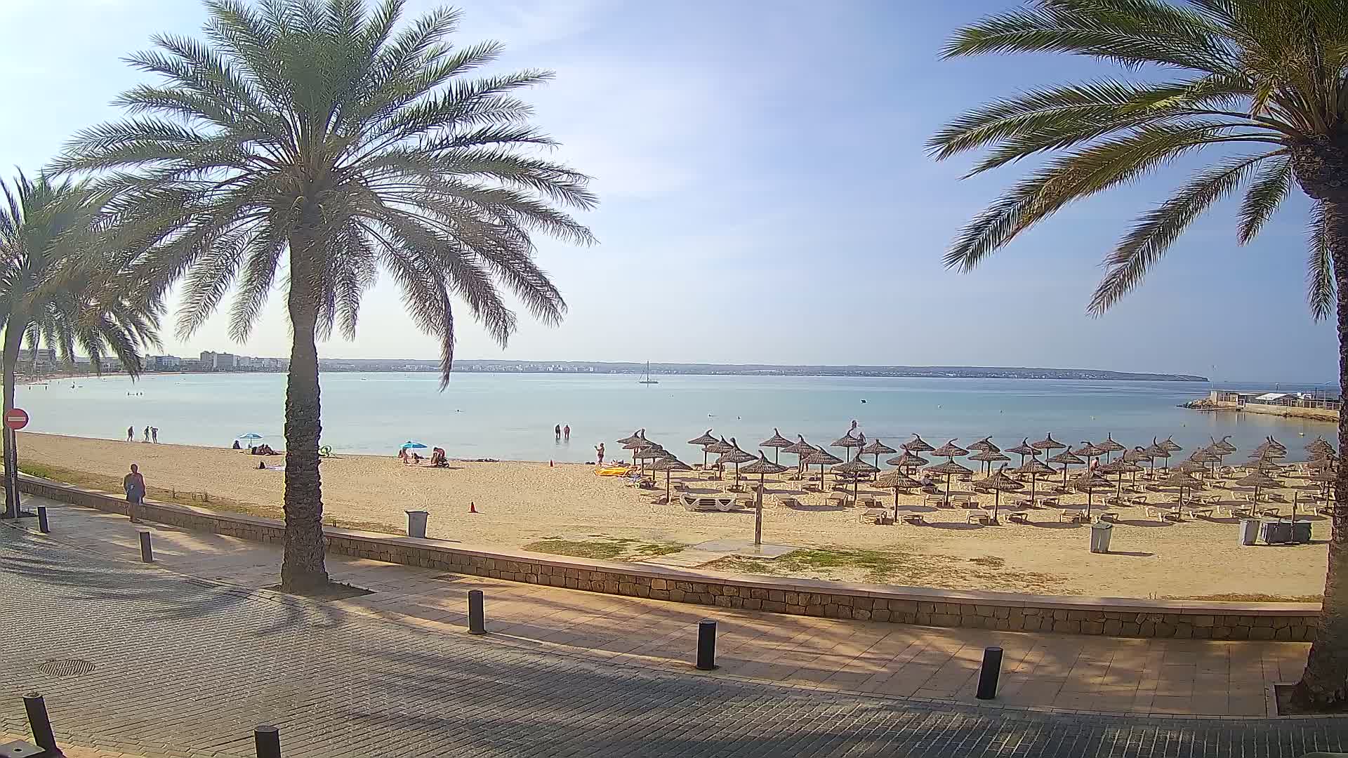 A sandy beach with numerous straw umbrellas, a calm sea, and palm trees lining a paved walkway on a sunny day.