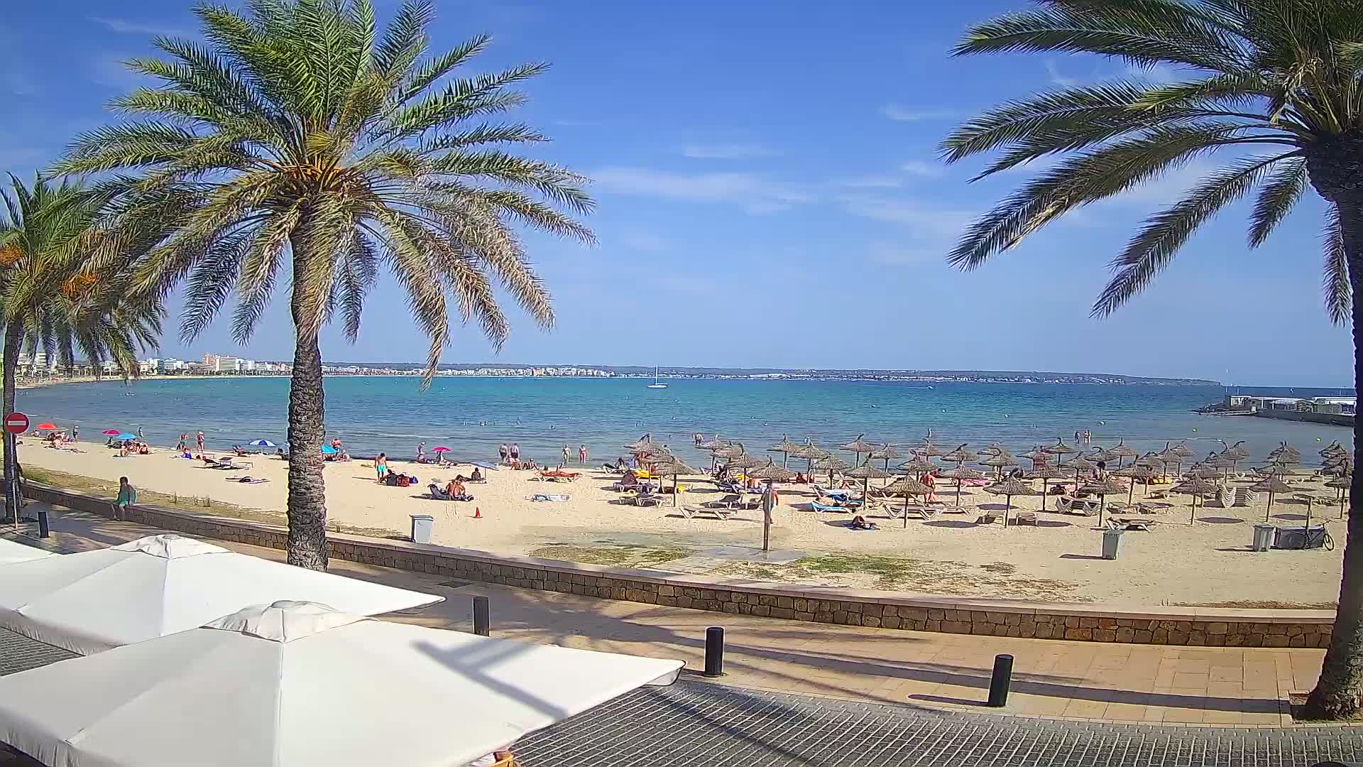 A sunny beach scene shows a sandy shore with numerous beach umbrellas and people relaxing, bordered by palm trees and a paved walkway leading to white patio umbrellas.