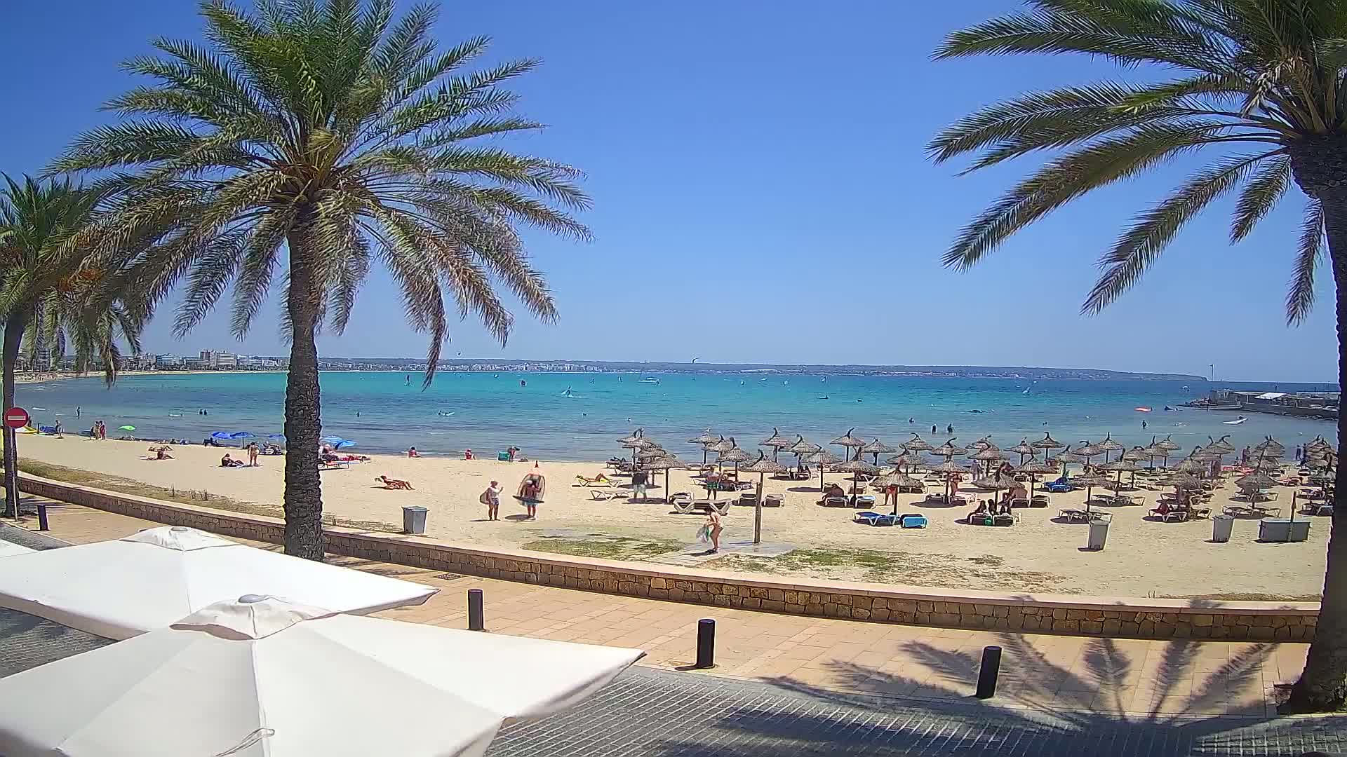 A sunny beach scene shows a sandy shore with numerous thatched umbrellas and lounge chairs, palm trees, and people swimming and relaxing in the clear, turquoise water.