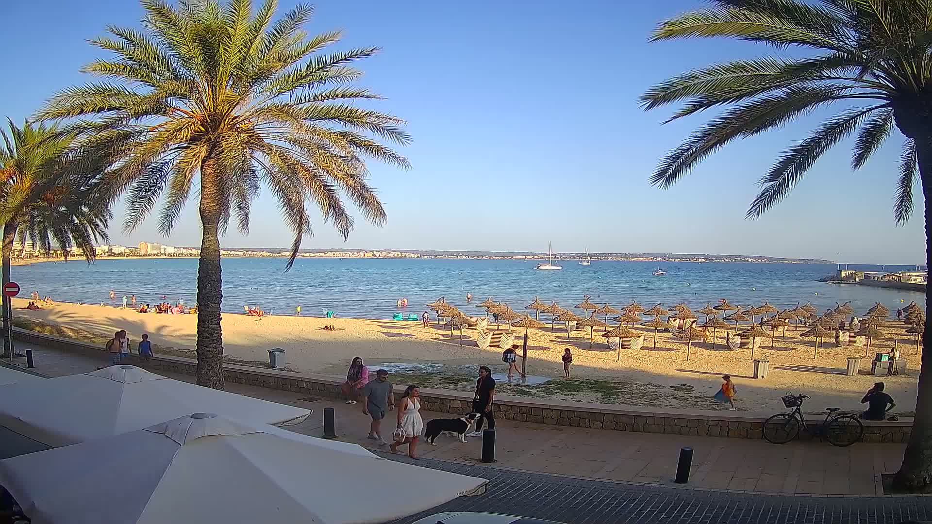 A sunny beach scene shows a sandy shore with numerous thatched umbrellas, people relaxing and walking, palm trees lining a promenade, and calm blue water extending to a distant shoreline.