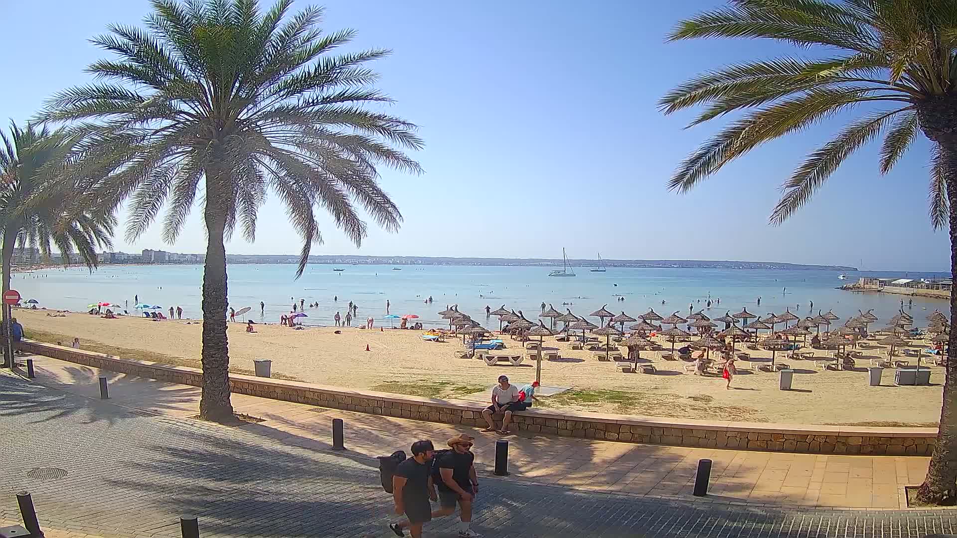 A sandy beach with many people and straw umbrellas under a sunny sky, palm trees lining a paved walkway leading to the shore.