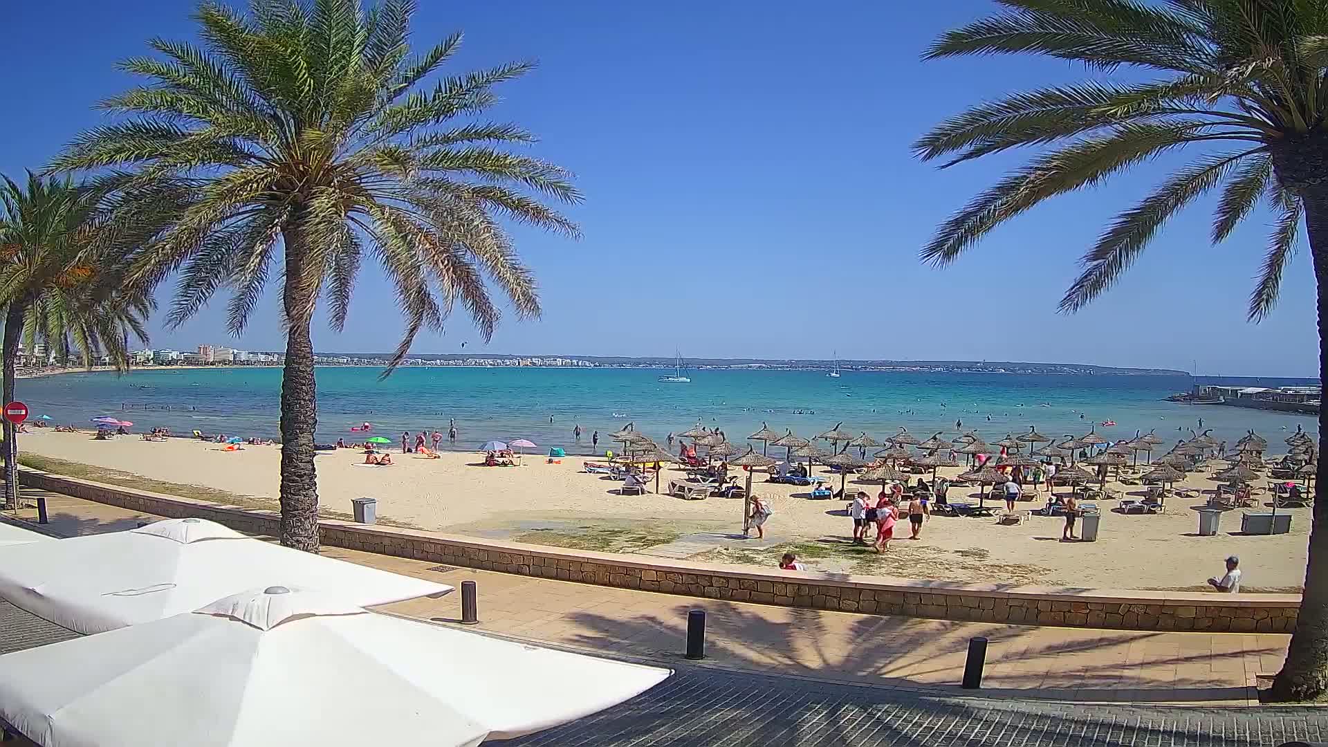 A sunny beach scene shows a sandy shoreline with numerous beach umbrellas and people, palm trees lining a paved walkway, and calm turquoise water extending to a distant landmass under a clear blue sky.