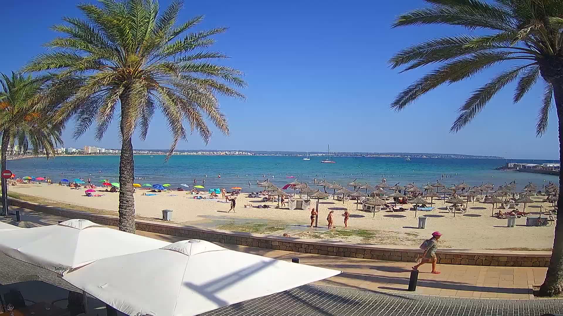 A sunny beach scene shows palm trees, people sunbathing and swimming in calm, turquoise water, under a clear blue sky.