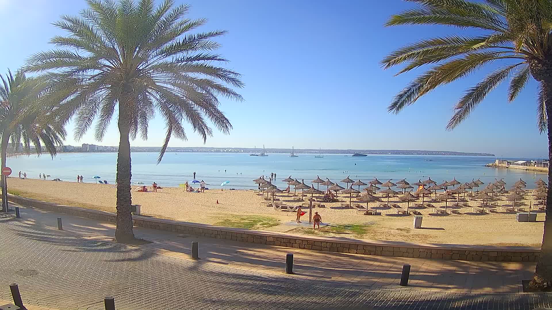 A sandy beach with numerous straw umbrellas, palm trees, and a calm, clear ocean under a sunny sky.