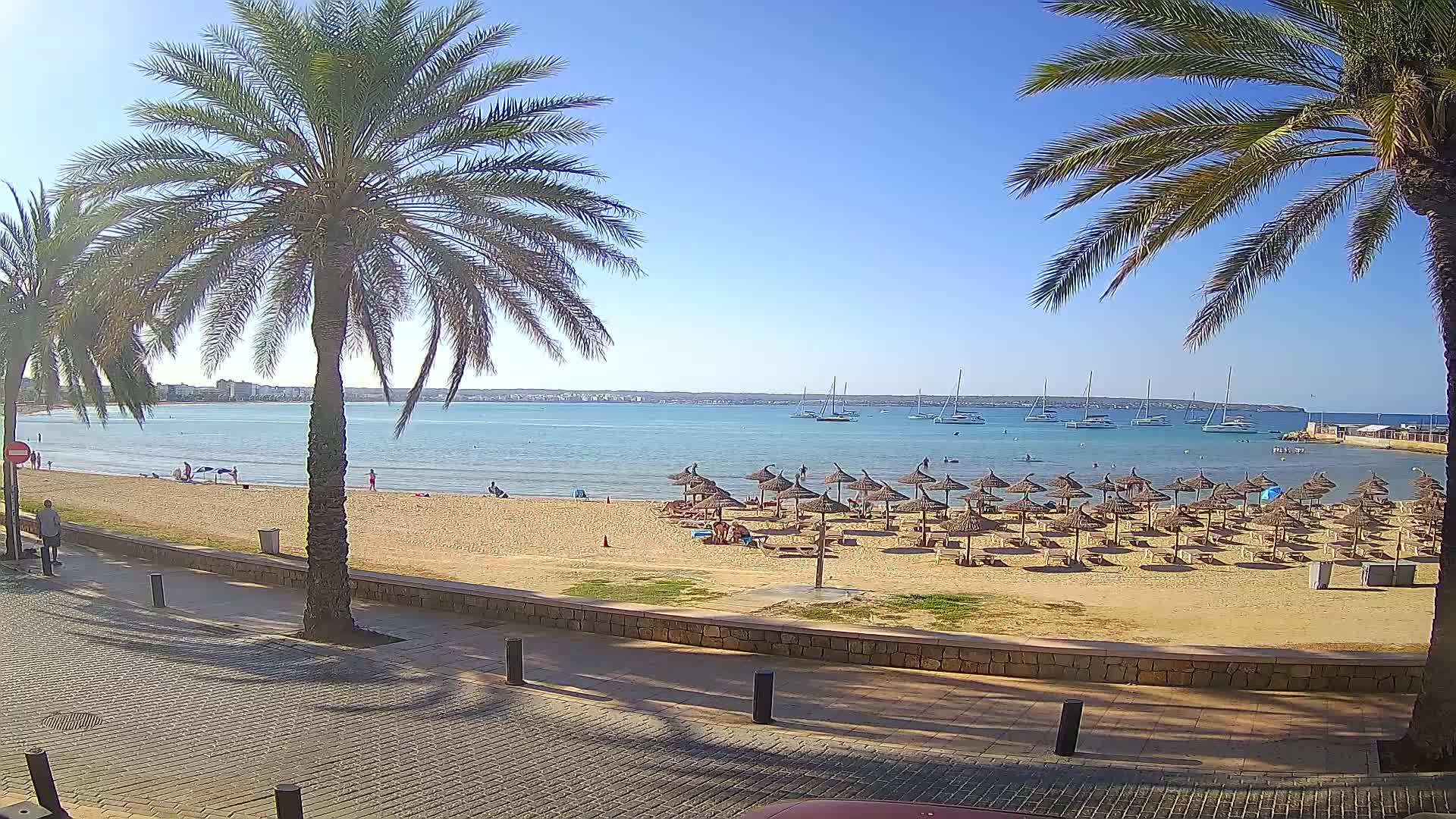 A sandy beach with numerous thatched umbrellas, palm trees, and several sailboats in the calm, blue water under a sunny sky.