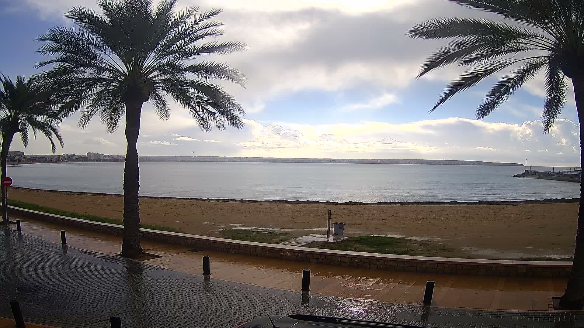 A palm-lined promenade, glistening wet from recent rain, overlooks a tranquil sandy beach and a wide bay with distant coastal buildings under a partly cloudy sky.