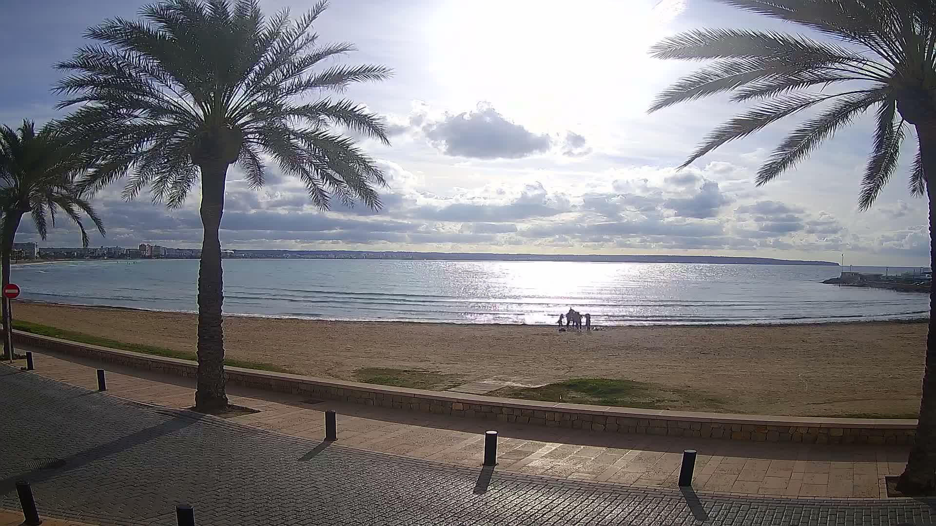A sunny and partly cloudy day at a sandy beach is framed by two prominent palm trees, overlooking an ocean with a small group of people near the water's edge and a distant cityscape on the horizon.