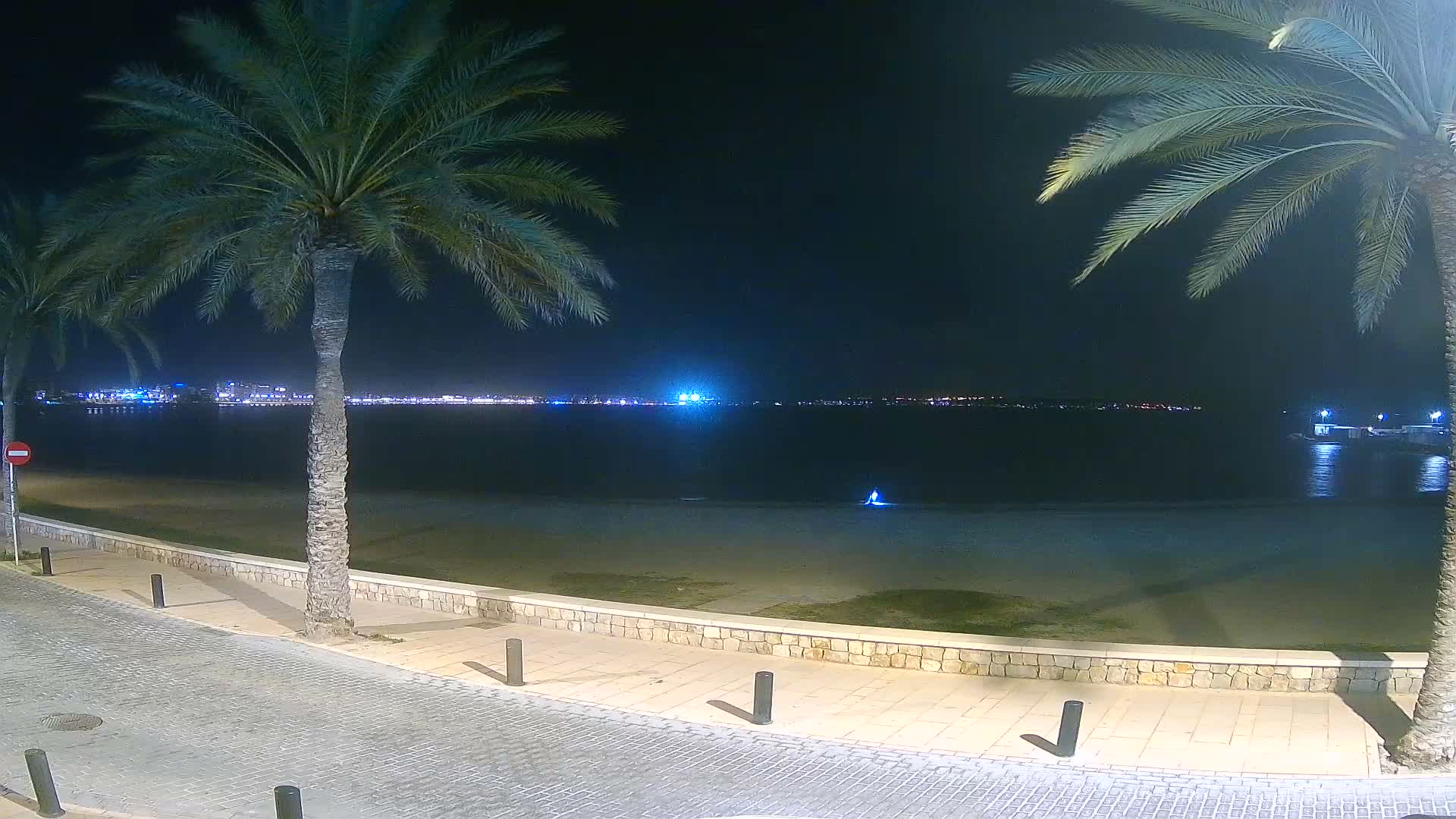 A sunny and partly cloudy day at a sandy beach is framed by two prominent palm trees, overlooking an ocean with a small group of people near the water's edge and a distant cityscape on the horizon.