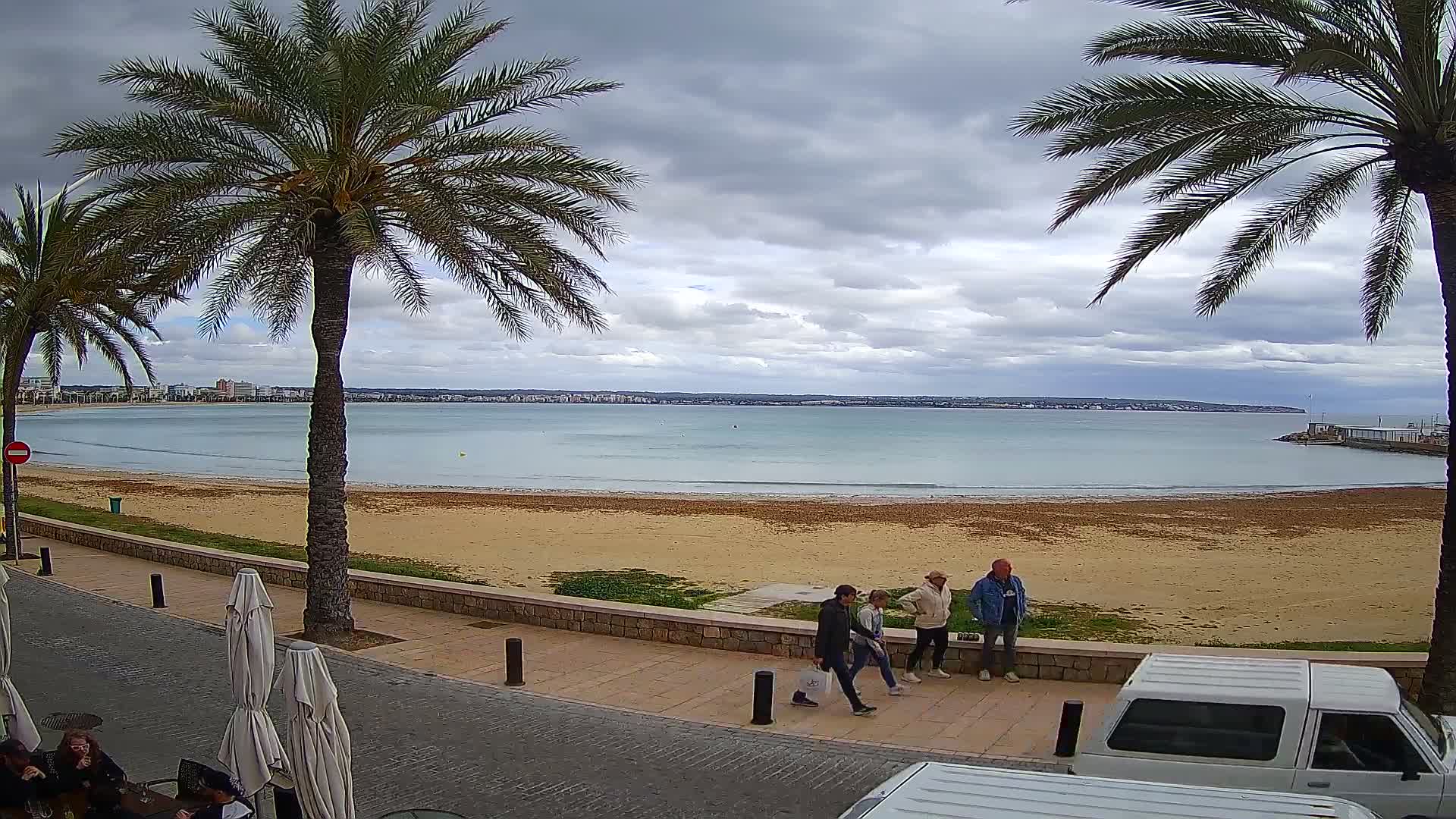 A sunny and partly cloudy day at a sandy beach is framed by two prominent palm trees, overlooking an ocean with a small group of people near the water's edge and a distant cityscape on the horizon.