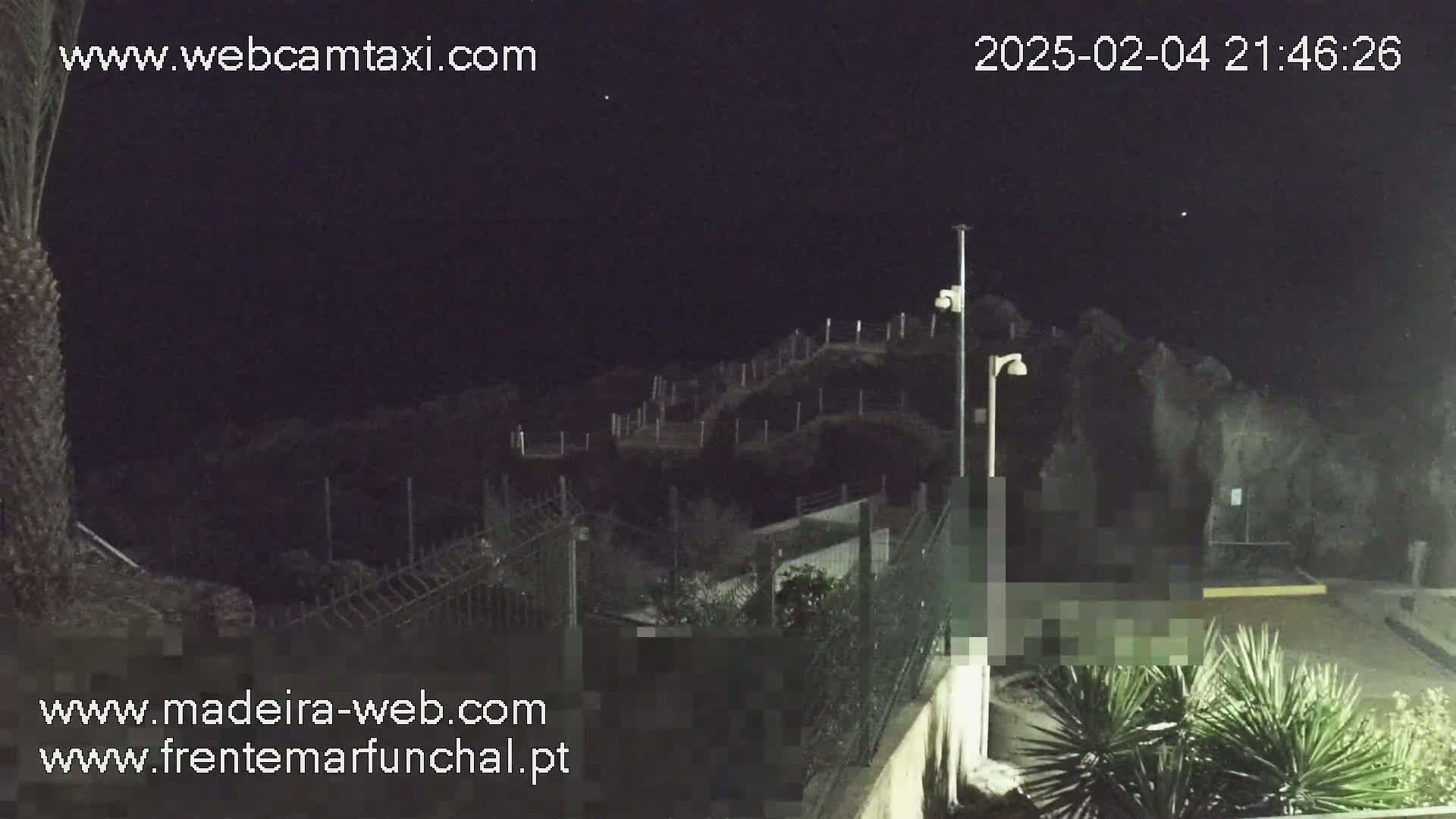A nighttime view of a rocky coastline with a fence and some vegetation, under a clear, dark sky.