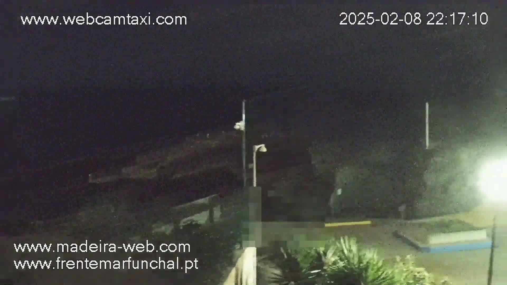 A nighttime, low-light view of a dark coastline with some vegetation and streetlights visible.
