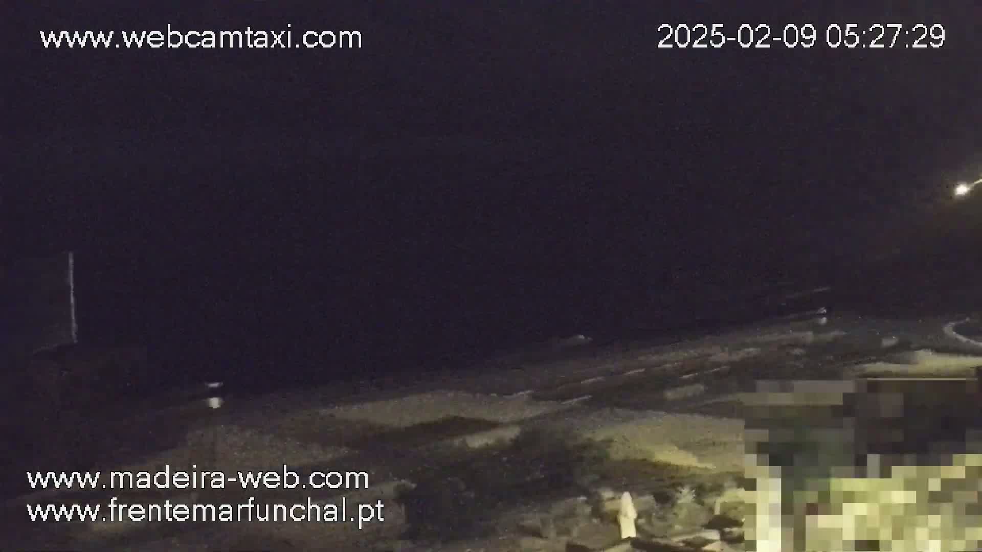 A nighttime, dark view of a beach area with some vegetation in the foreground.