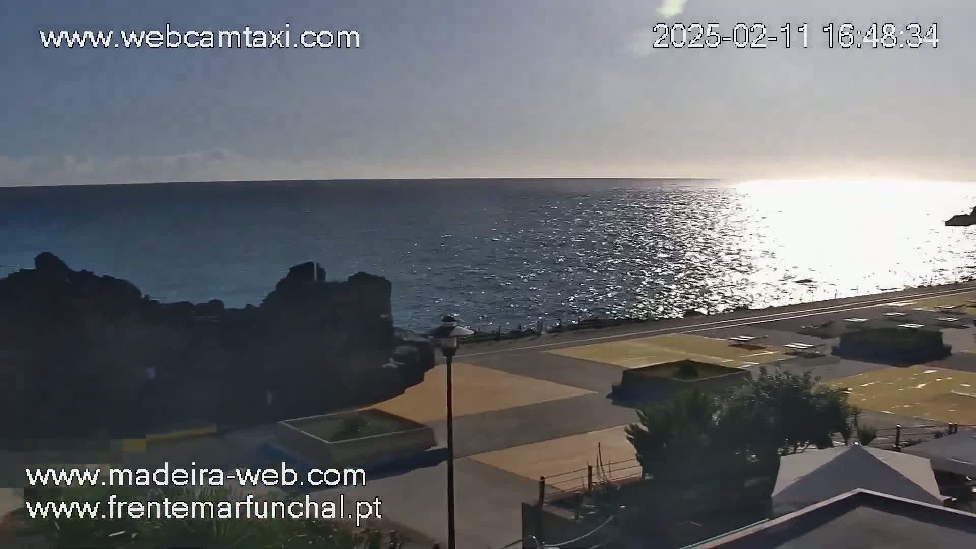 A calm, sunlit ocean is seen from a coastal viewpoint overlooking a paved area with some landscaping and buildings.