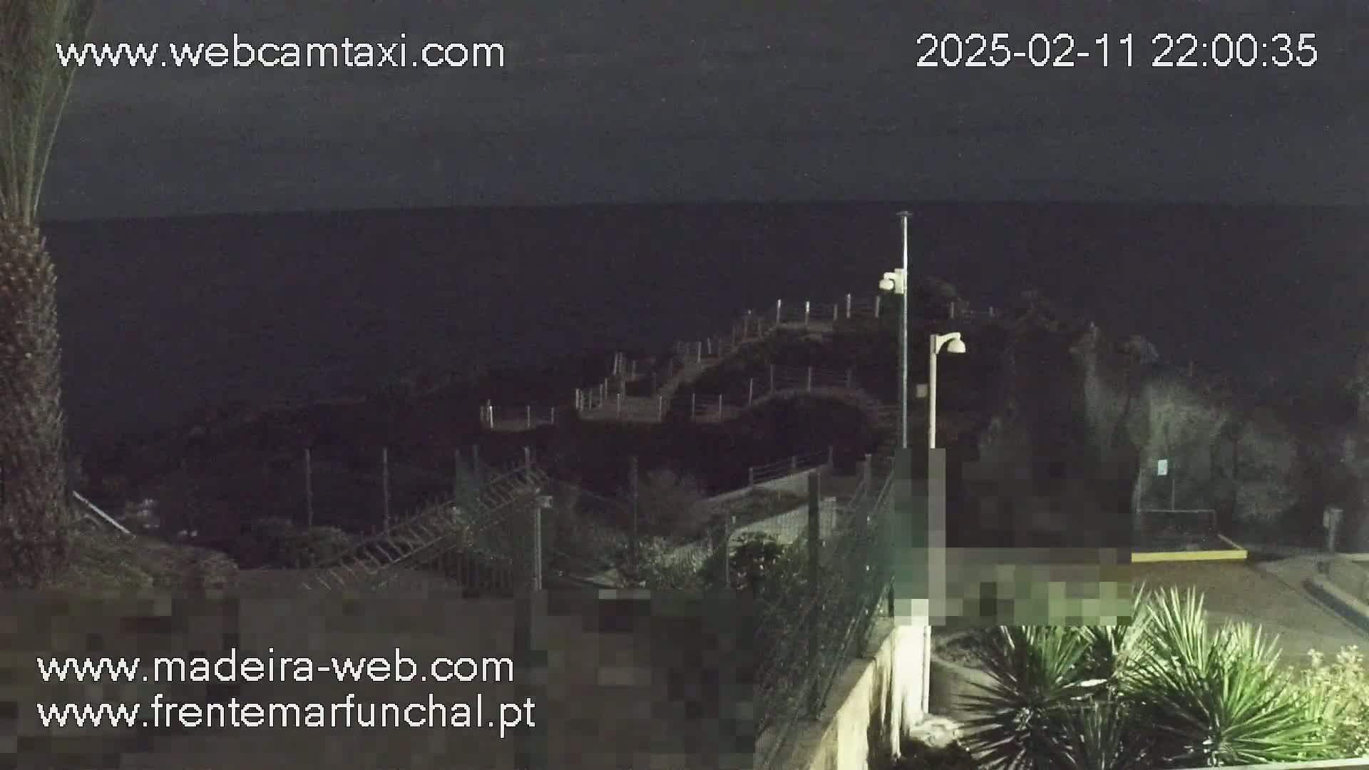 A nighttime coastal scene shows a dark ocean, a path leading down to the water, and some vegetation, under a dark, cloudy sky.