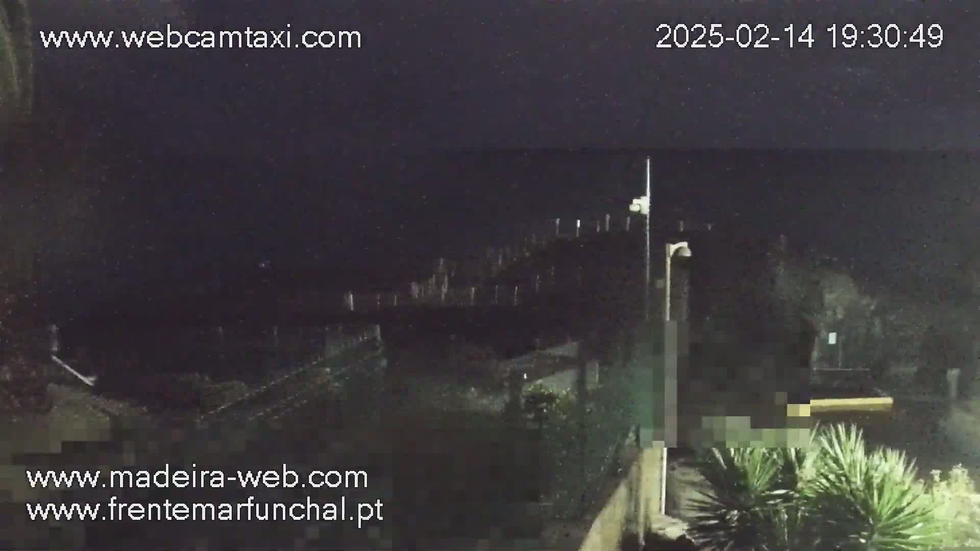 A nighttime, dark view of a body of water and some vegetation, possibly taken from an elevated position.