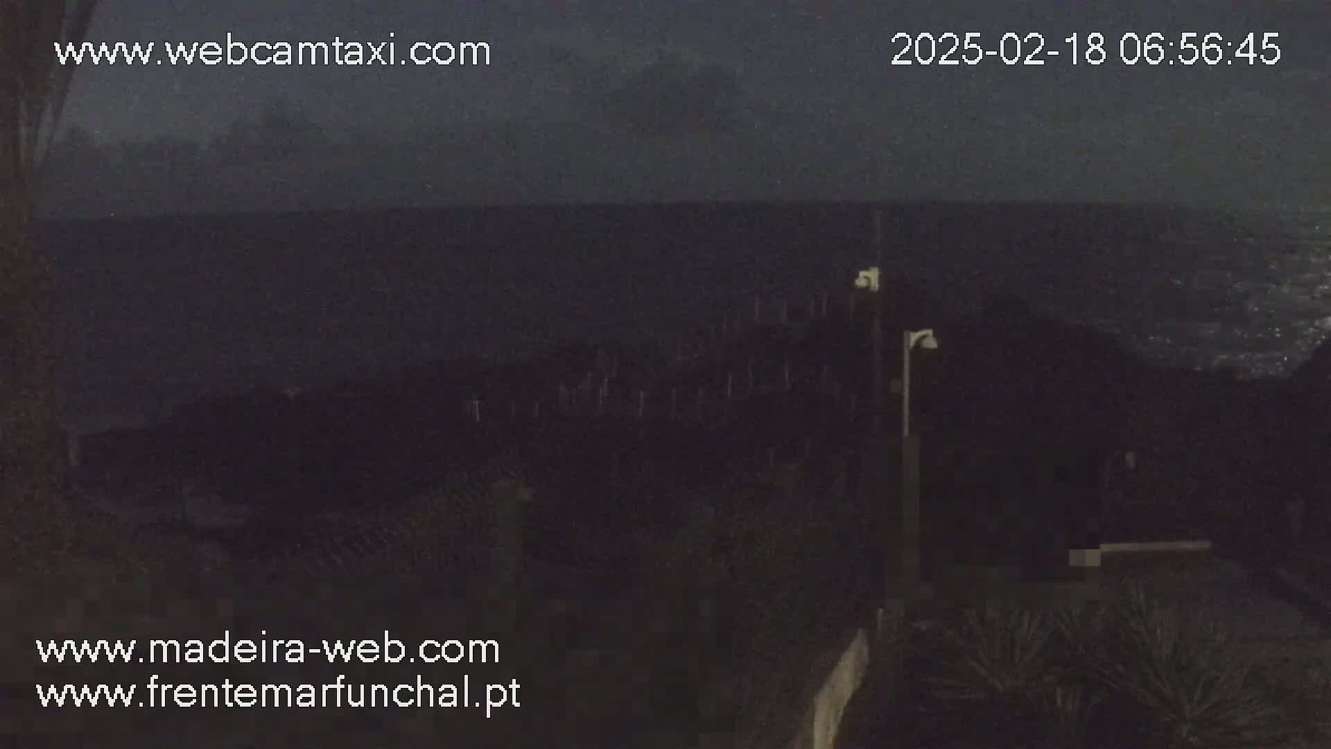 A dark, nighttime view of a calm ocean from a coastal vantage point shows dark vegetation and light posts in the foreground.