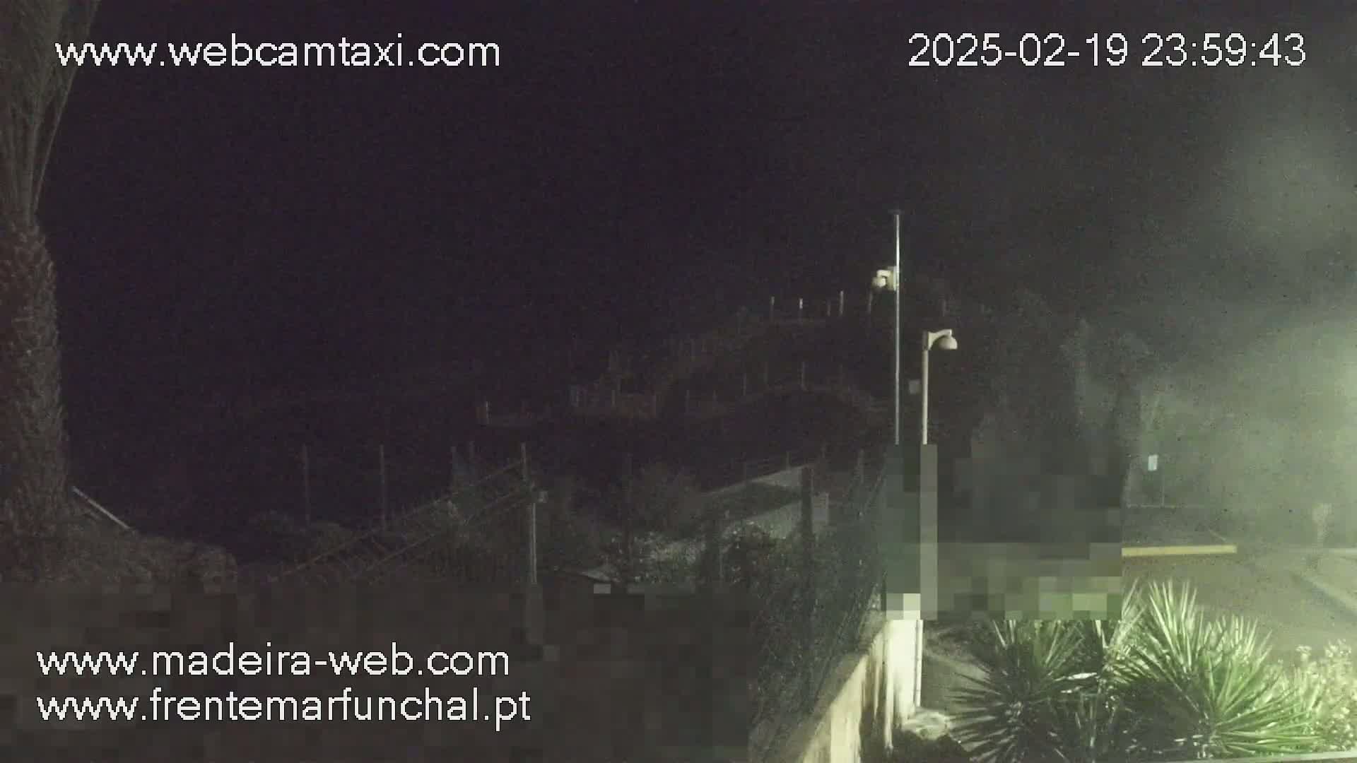 A nighttime view of a dark, possibly coastal area with some vegetation and a fence, under a dark sky.
