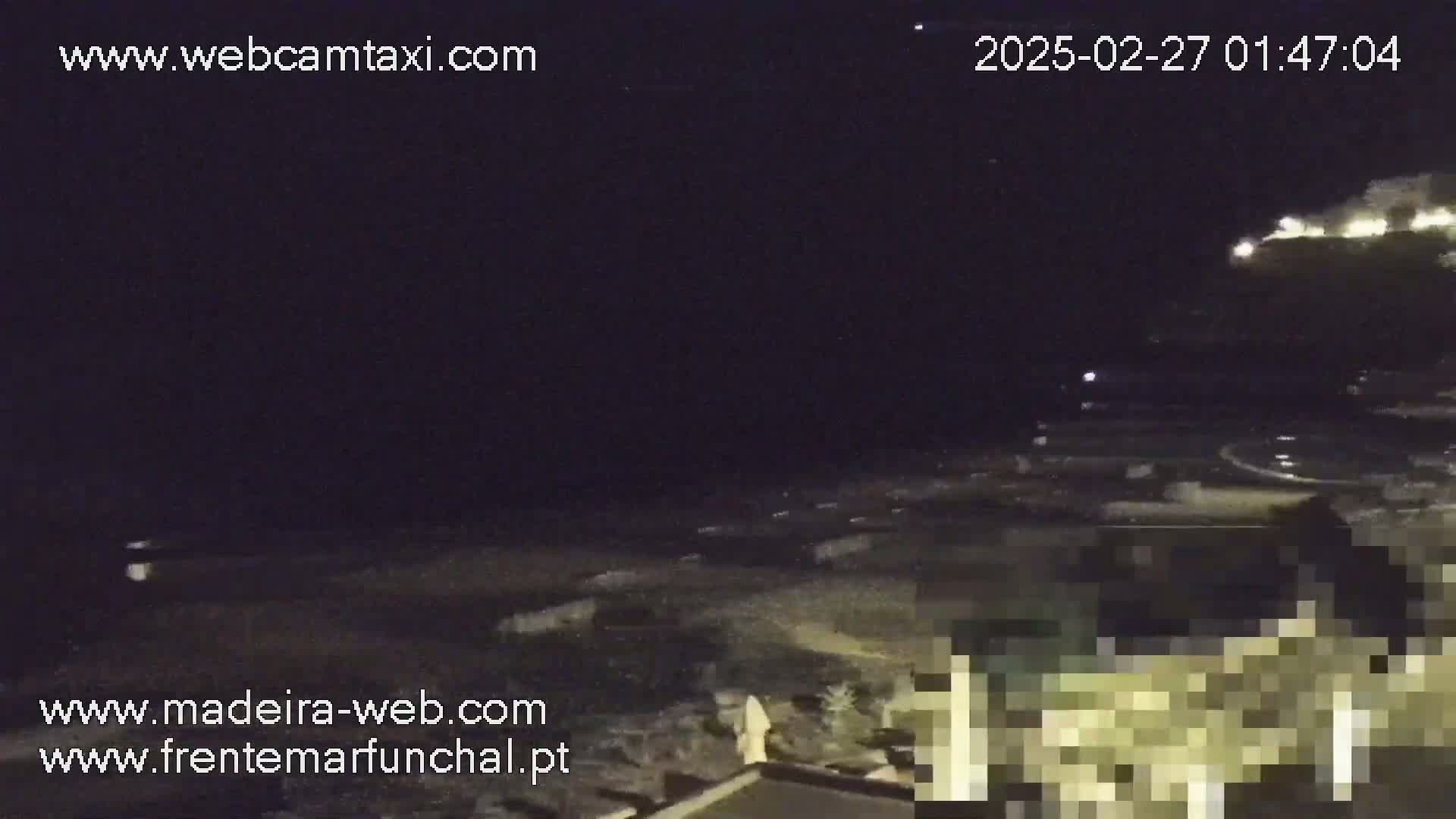 A nighttime, coastal scene shows a dark beach and ocean under a clear, starlit sky, with dimly lit buildings visible in the distance.