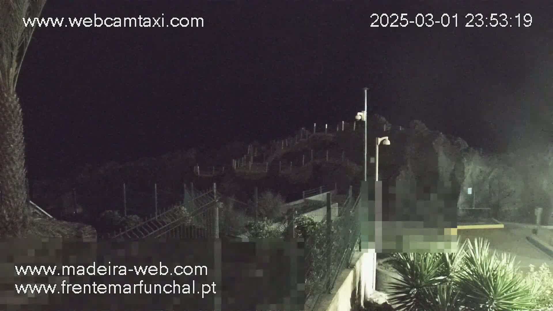 A nighttime view of a dark hillside with a fence and some shrubbery in the foreground, under a clear, dark sky.