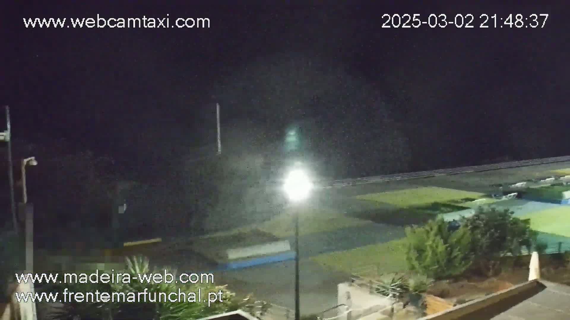 A nighttime view of a seaside area with light rain or mist, showing a paved walkway, grassy areas, and vegetation under poorly lit conditions.