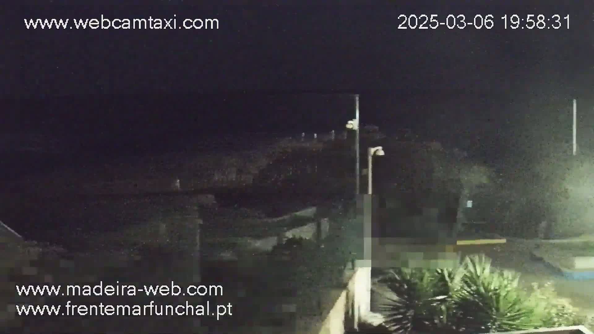 A nighttime, possibly rainy, outdoor scene shows a dark ocean, a paved area, some vegetation, and lights.