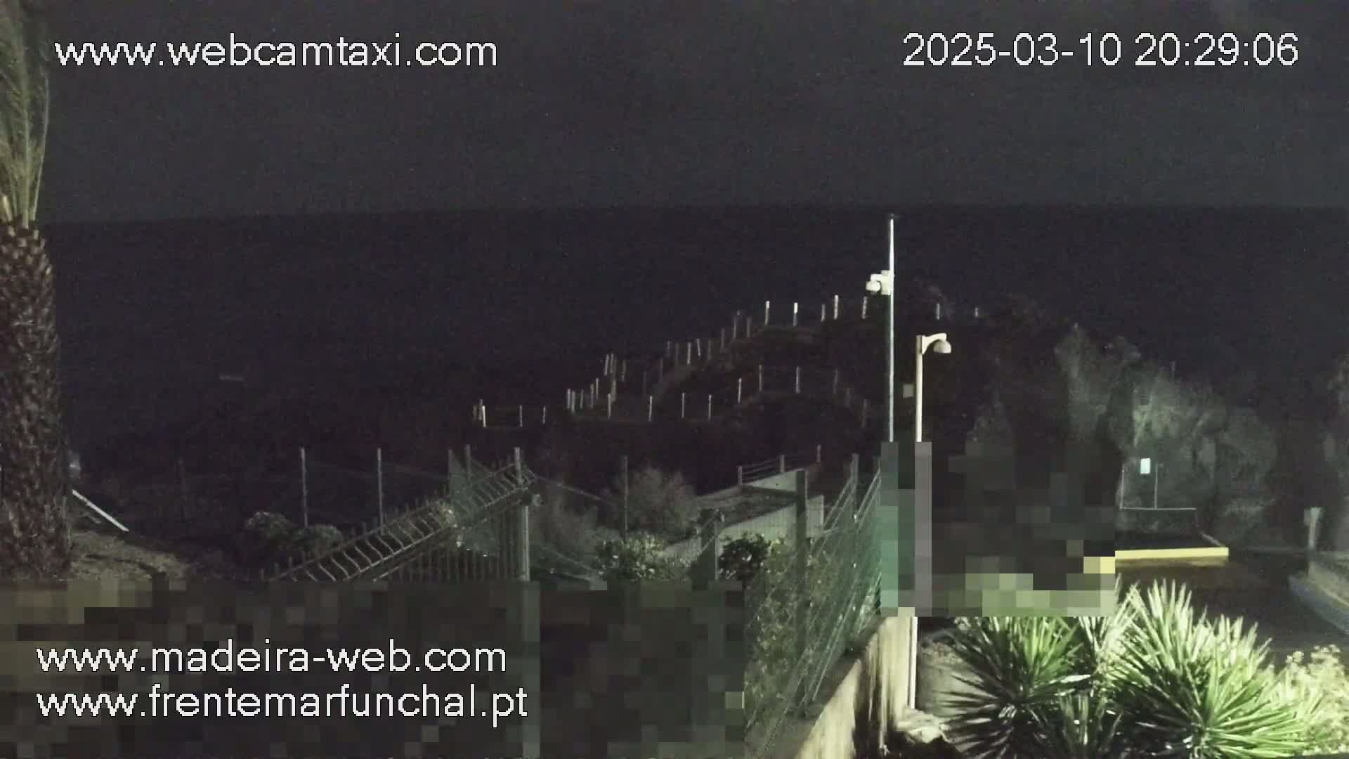 A nighttime view of a dark ocean, a fence, and some vegetation under artificial light.