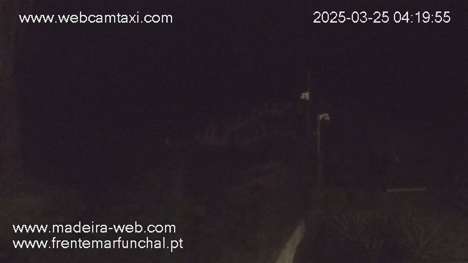 A dark, nighttime scene shows dimly lit vegetation and structures under a clear, dark sky.