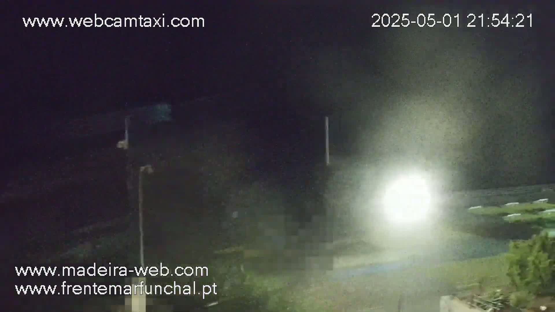 A nighttime, hazy outdoor scene shows a bright light illuminating a dark area with some vegetation in the lower right.