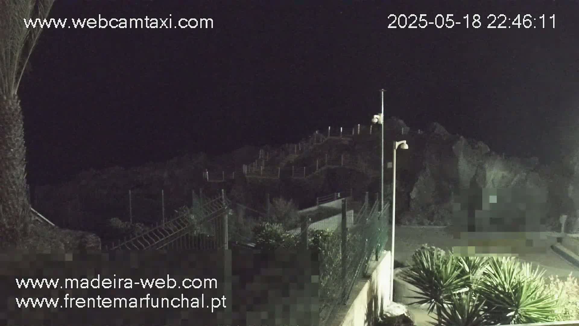 A nighttime, low-light view of a rocky hillside, partially obscured by fencing and vegetation, with a few lampposts illuminating the scene.