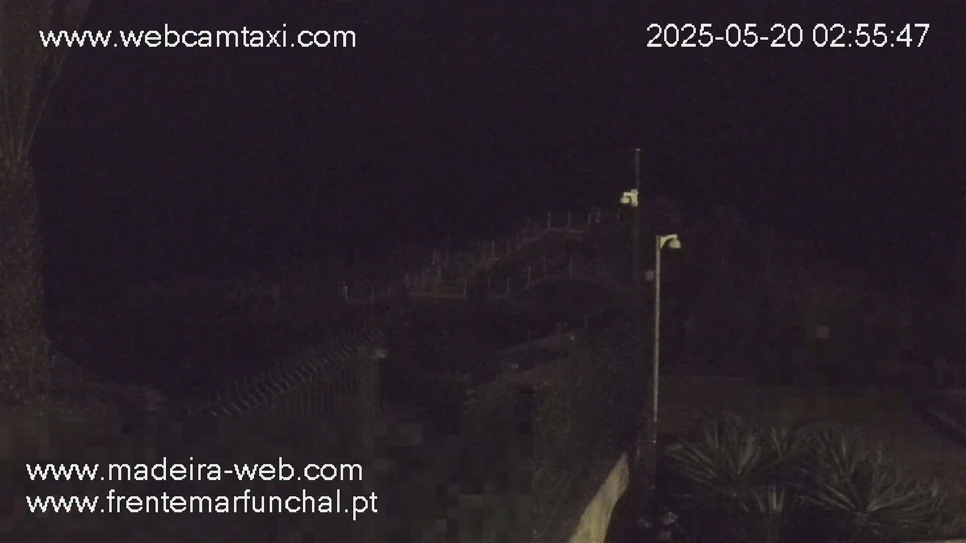 A nighttime, low-light view shows a dark scene with some vegetation and structures, possibly a fence and building, dimly lit by a lamppost.