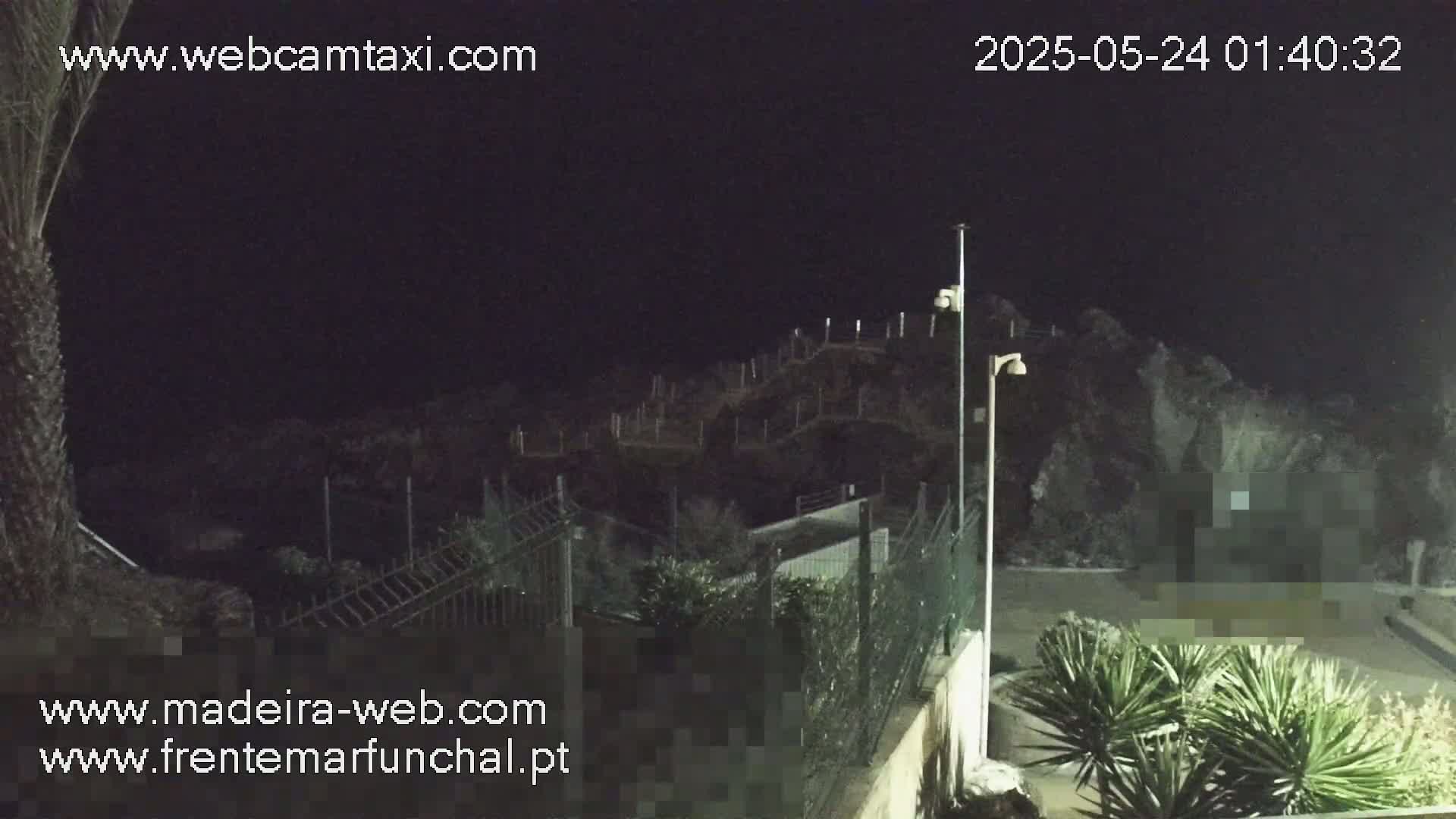 A nighttime view shows a dark, rocky hillside beyond a fence and some low vegetation, under a clear, dark sky.