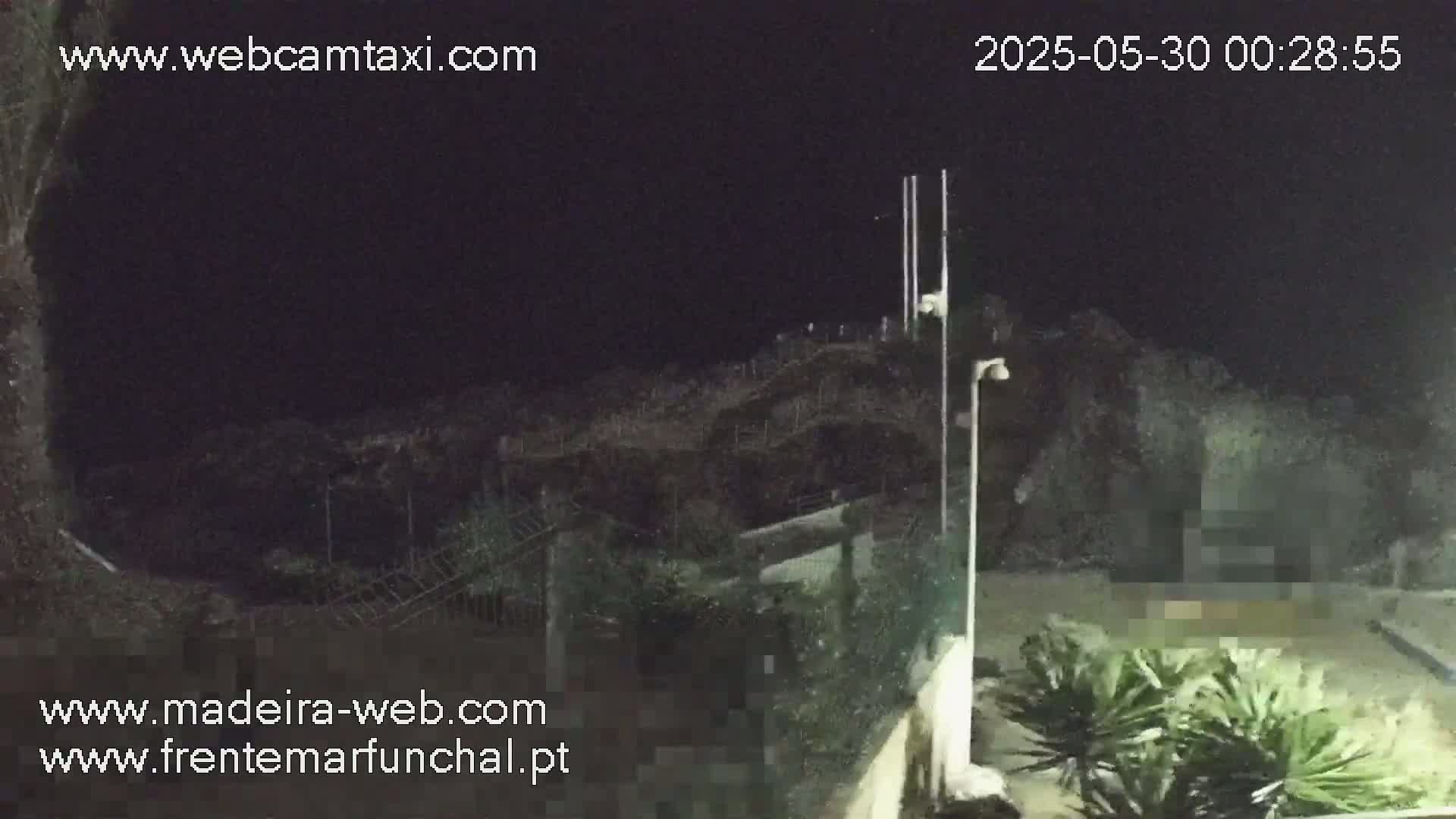 A nighttime, outdoor view shows dark vegetation, a fence, and a portion of a building under a clear, dark sky.