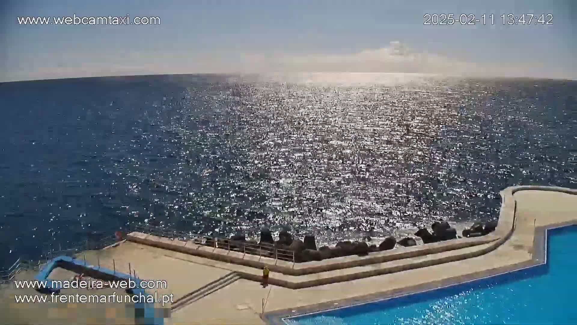 A sparkling ocean meets a sun-drenched infinity pool and patio area on a clear day.