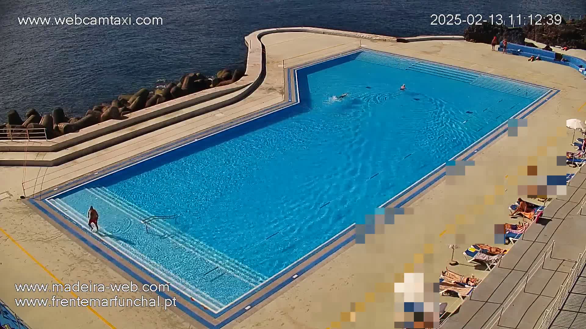 An outdoor, rectangular swimming pool with several people swimming and sunbathing on a sunny day.