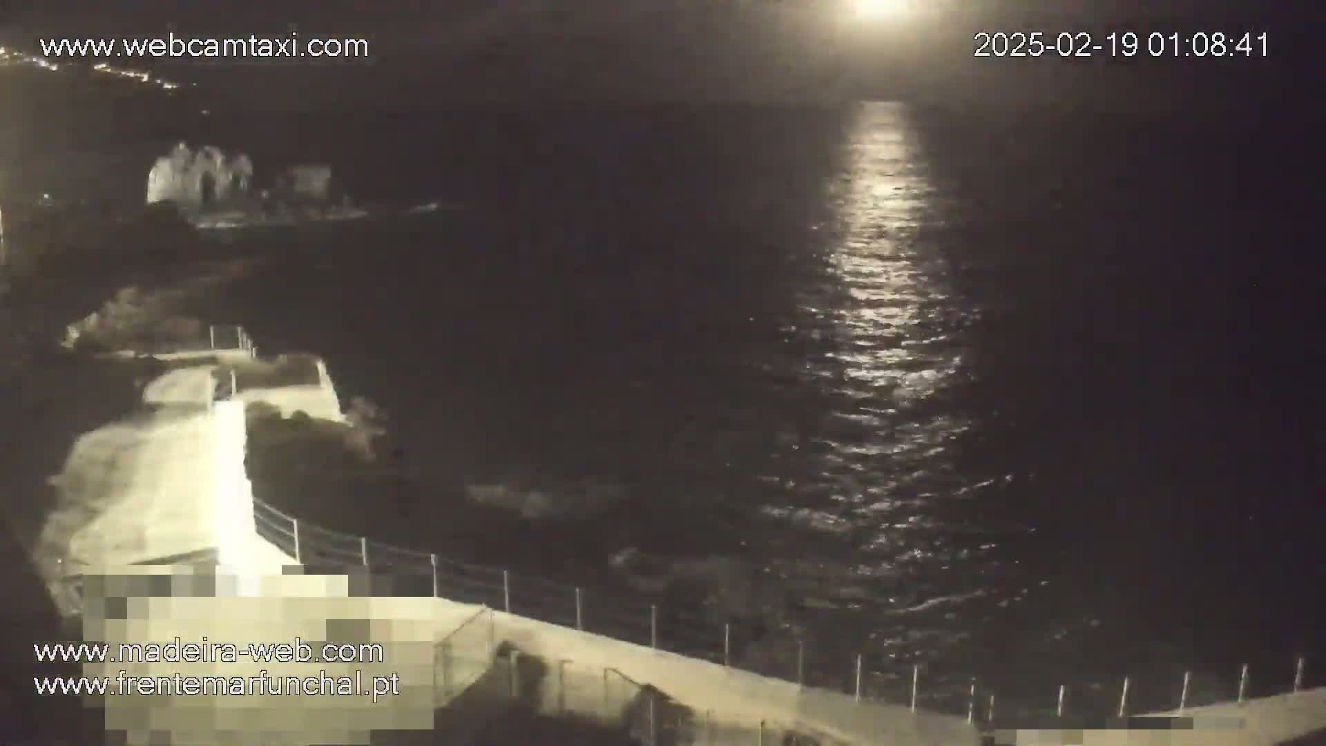 A nighttime view shows a dark ocean reflecting moonlight, with a paved walkway and low wall along the shore.