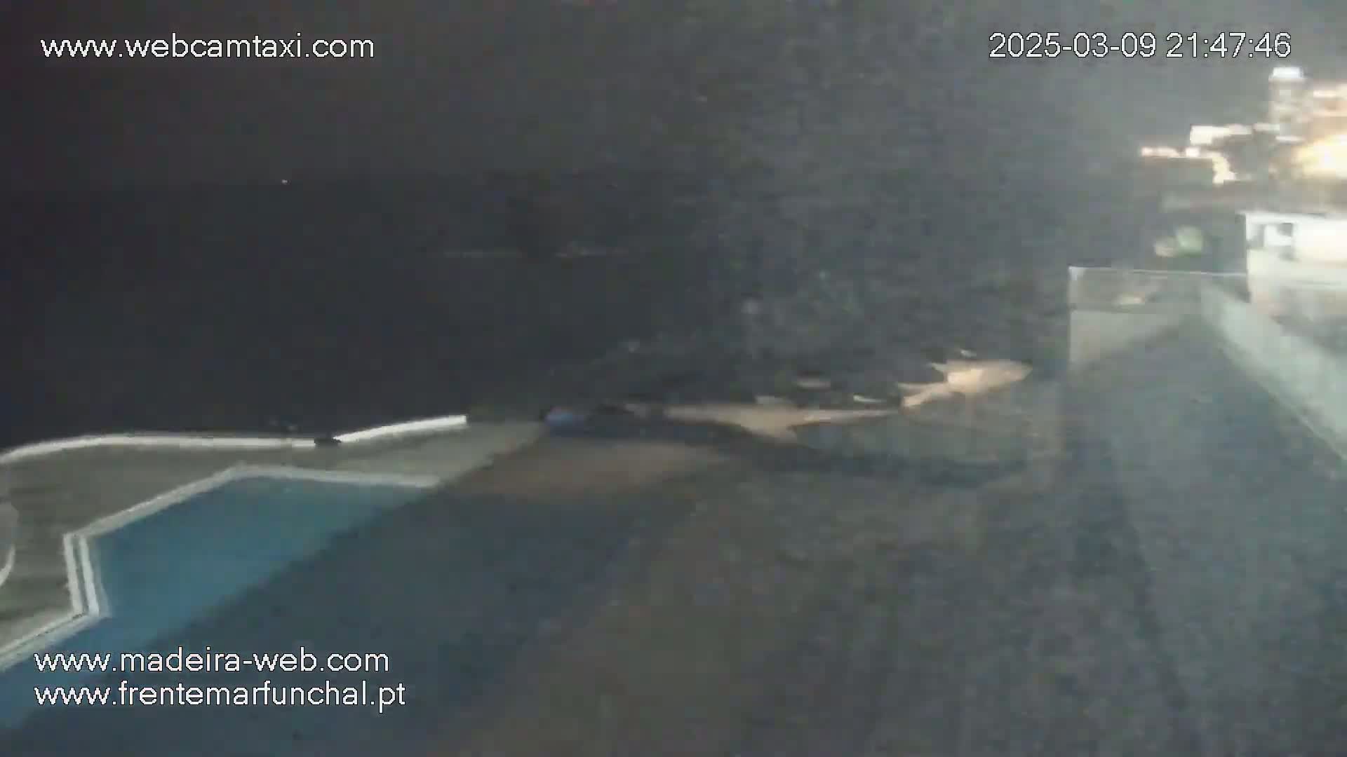 A nighttime, blurry view shows a dark body of water next to a partially visible swimming pool and building.