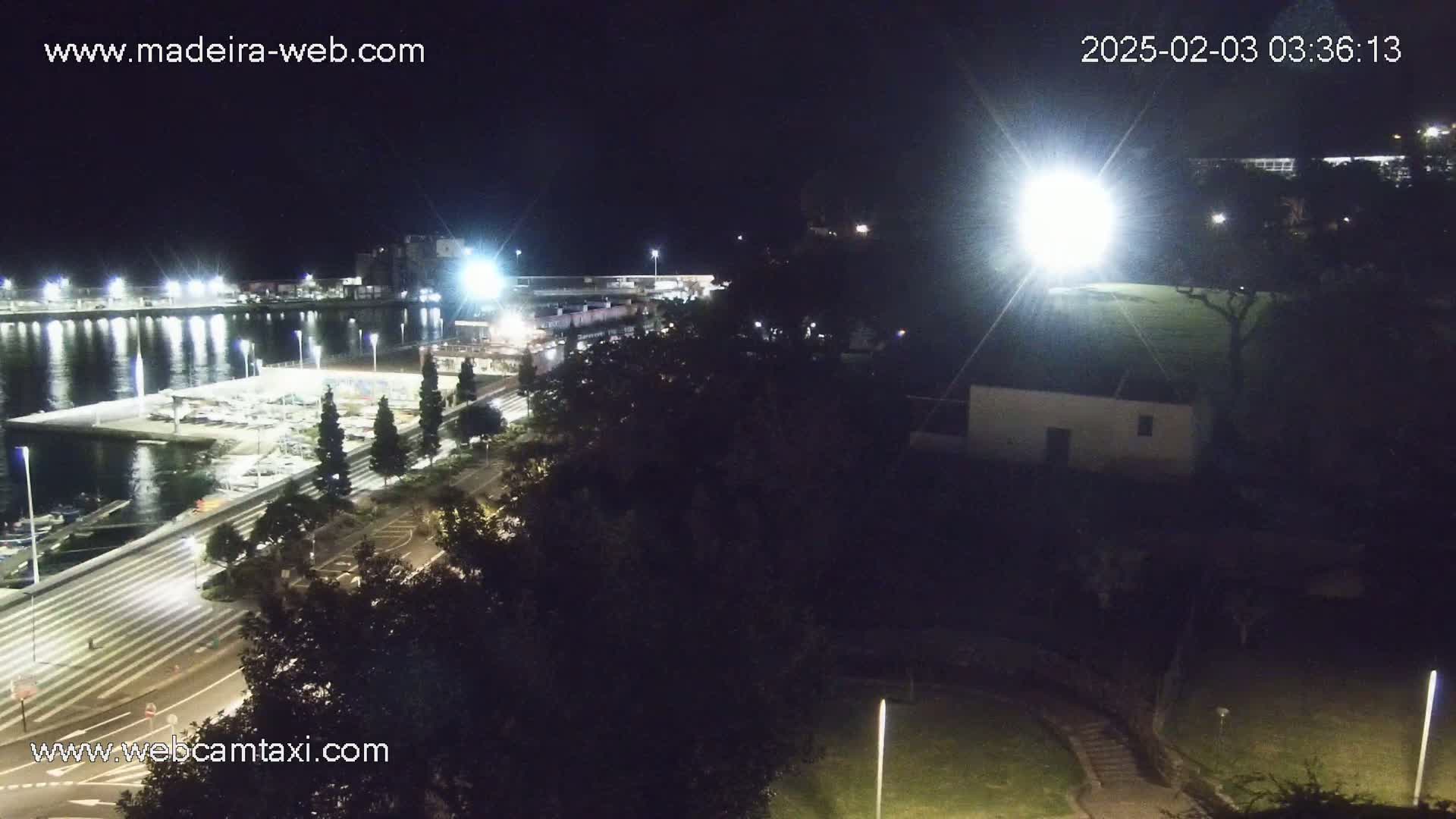A nighttime view of a marina with boats docked, a road leading to it, and a brightly lit field beyond.