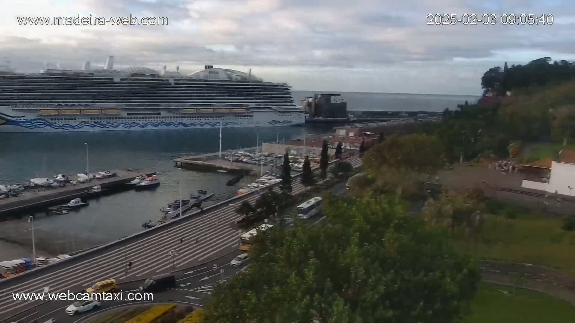 A large cruise ship is docked at a harbor, with smaller boats in the marina, vehicles on a roadway, and lush green vegetation on a hillside overlooking the water under partly cloudy skies.