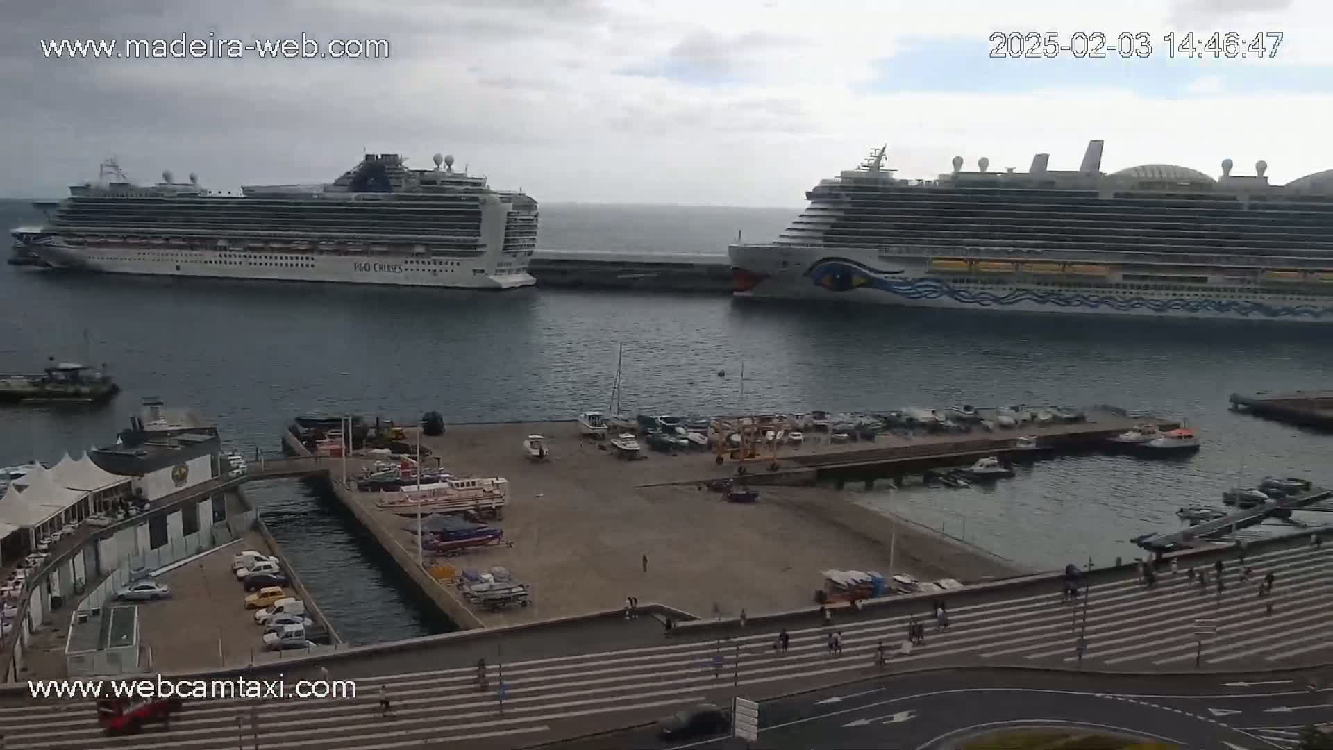 Two large cruise ships are docked at a harbor on an overcast day, with smaller boats and a paved area visible in the foreground.