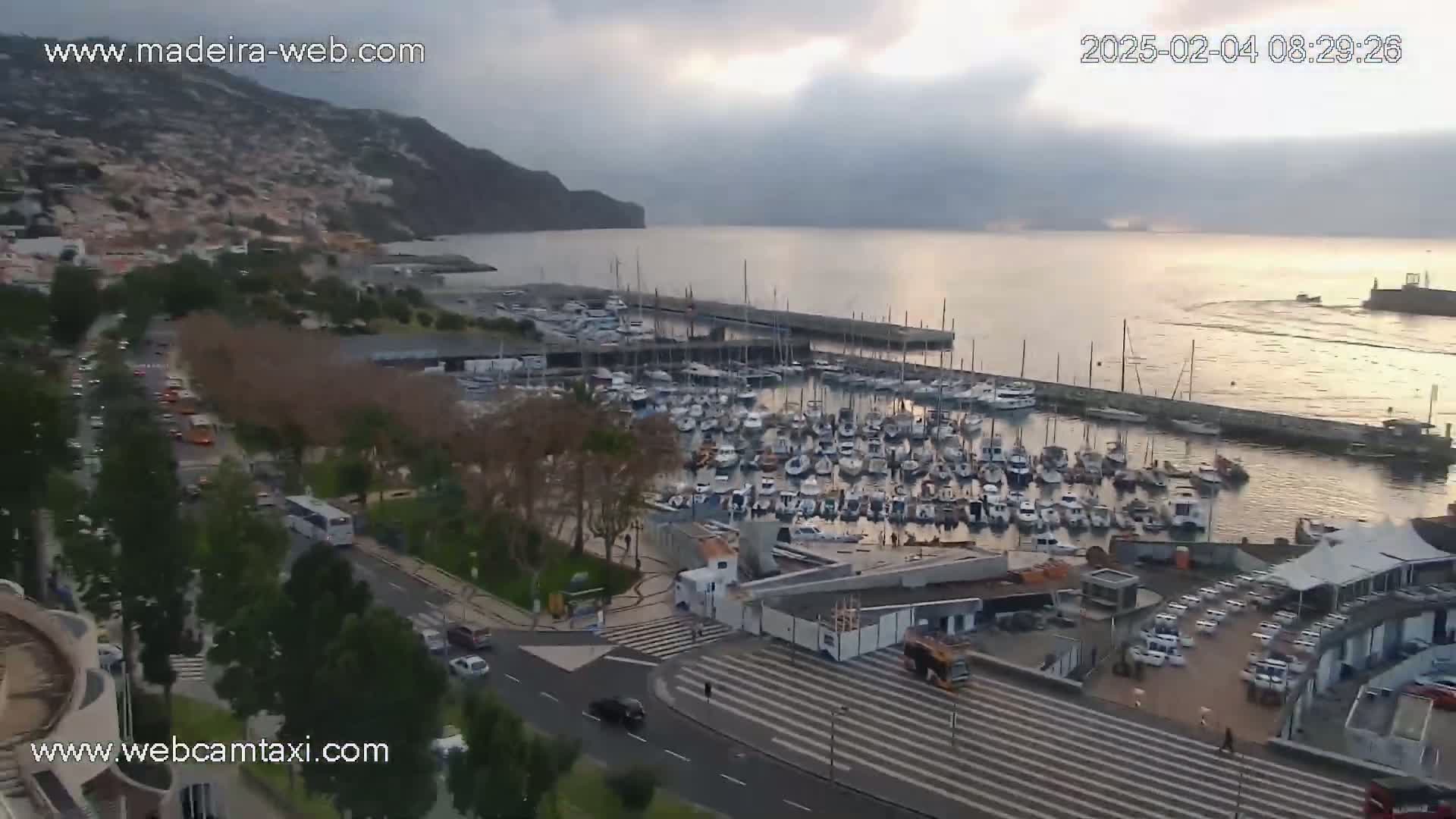A harbor filled with numerous boats is situated below a hillside town under a cloudy sky.